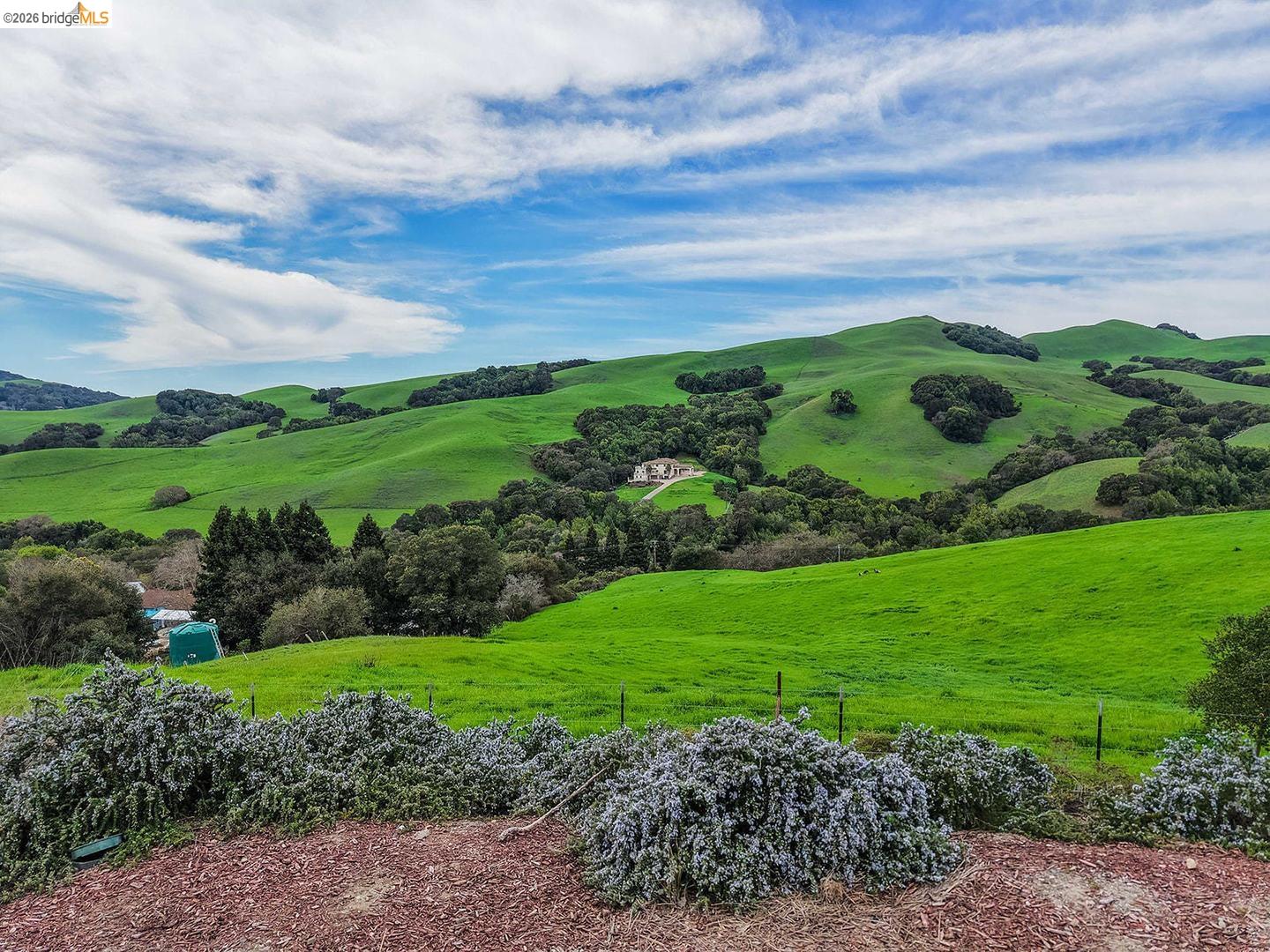 Photo #40: 41125889 Listing: Photo #40