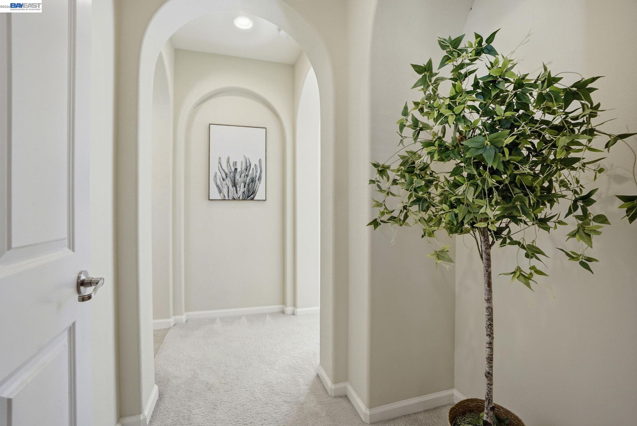 Photo #6: 41125896 Listing: Photo #6