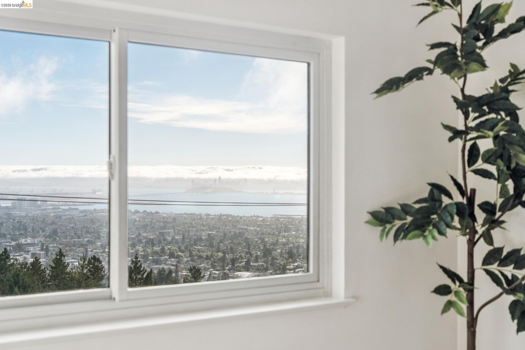 Detail Gallery Image 23 of 45 For 1155 Keeler Ave, Berkeley,  CA 94708 - 4 Beds | 2 Baths