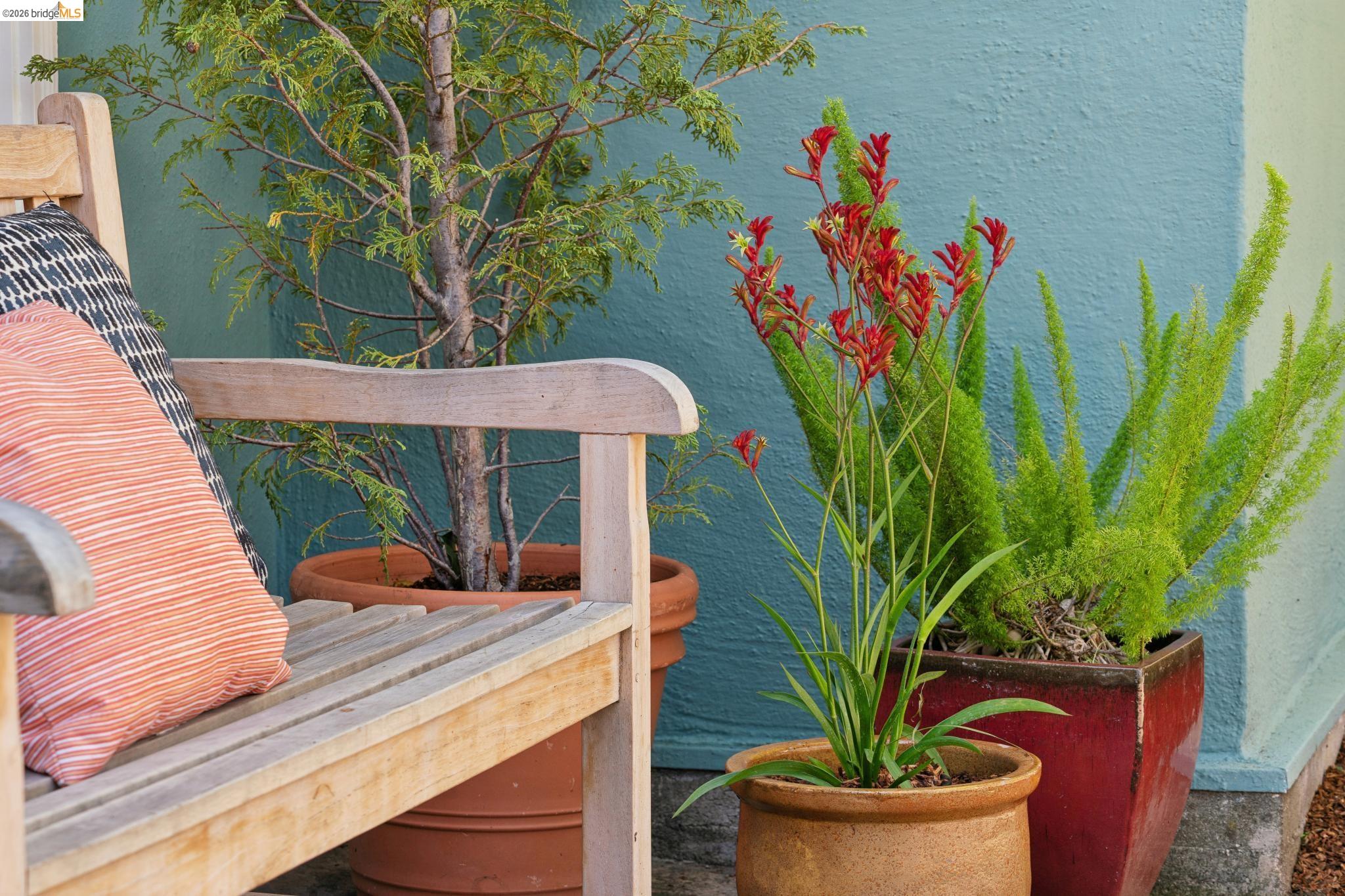 Detail Gallery Image 5 of 41 For 890 Keeler Ave, Berkeley,  CA 94708 - 3 Beds | 1/1 Baths