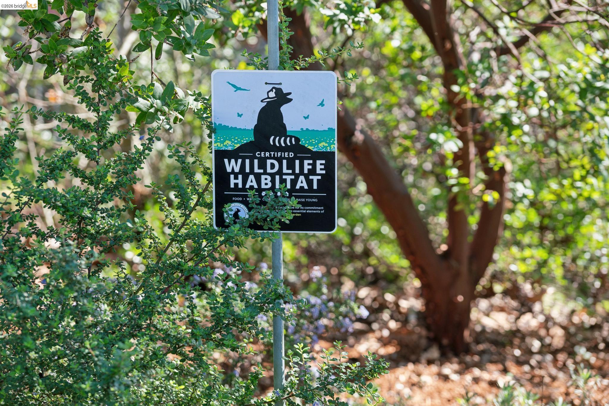 Detail Gallery Image 7 of 41 For 890 Keeler Ave, Berkeley,  CA 94708 - 3 Beds | 1/1 Baths