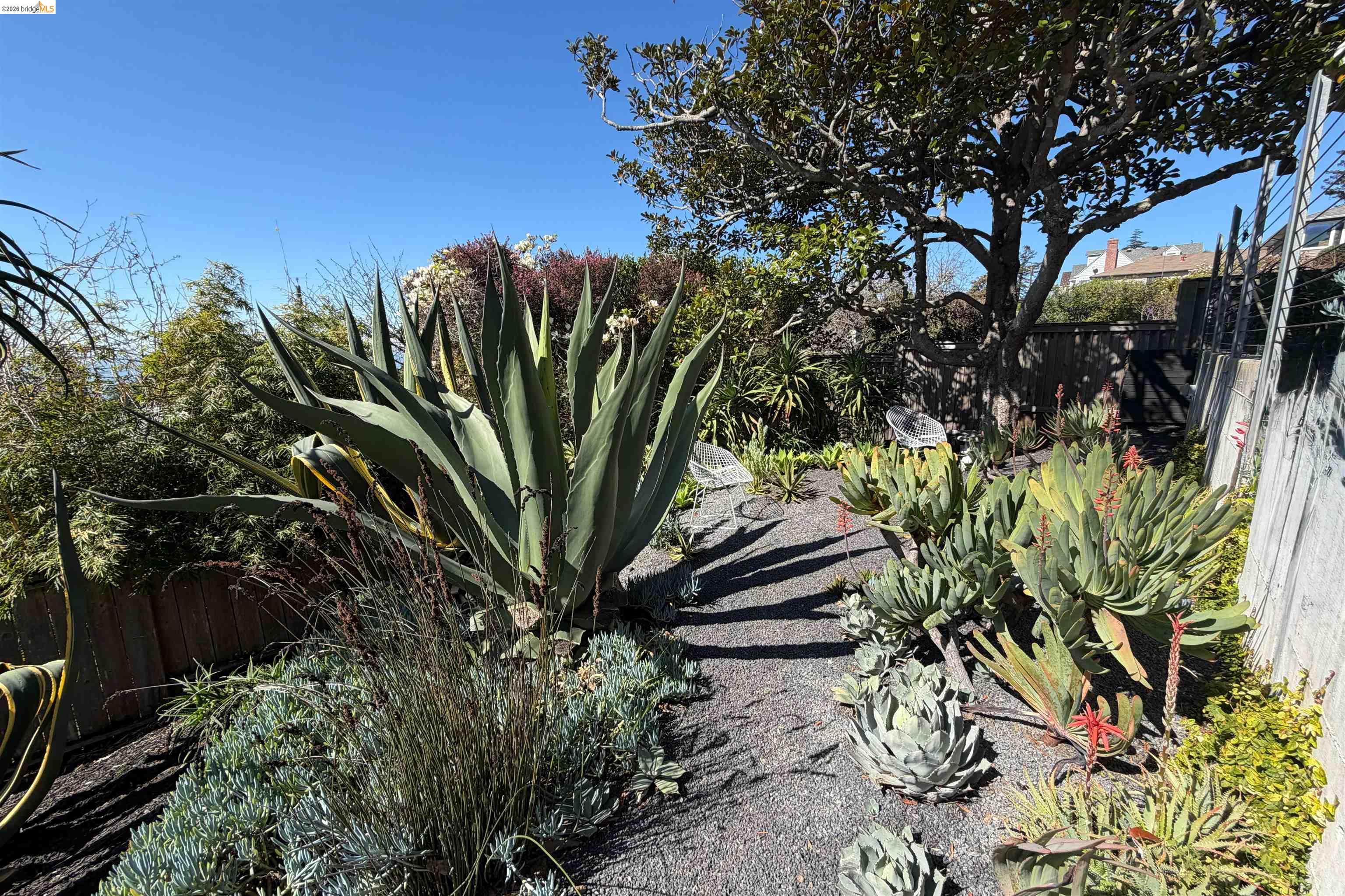 Detail Gallery Image 56 of 59 For 148 Highland Blvd, Kensington,  CA 94708 - 4 Beds | 3 Baths