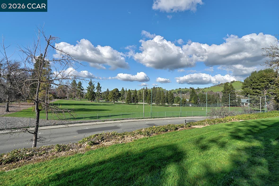 Photo #19: 41125949 Listing: Photo #19