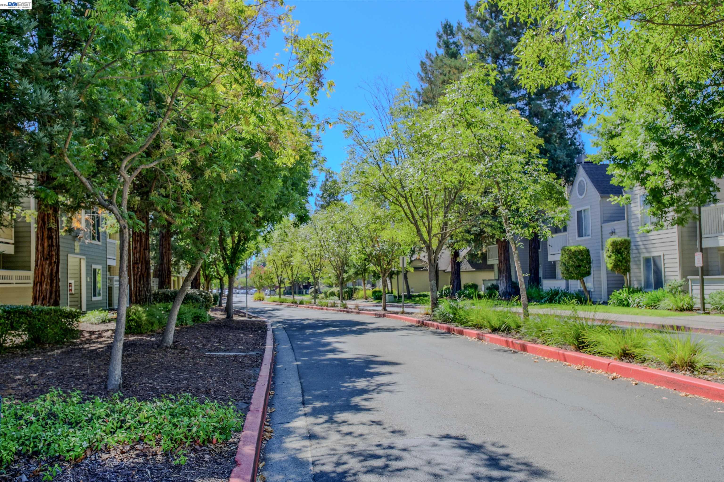 Photo #28: 41125950 Listing: Photo #28