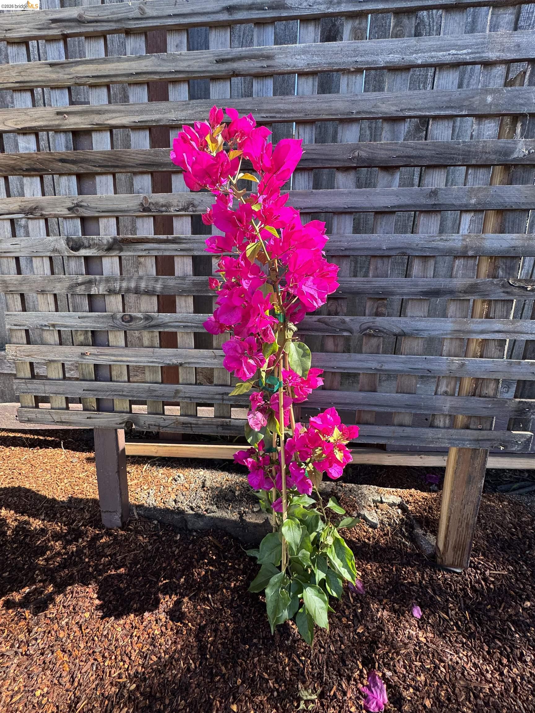 Detail Gallery Image 42 of 48 For 1909 Francisco Way, Richmond,  CA 94805 - 3 Beds | 2 Baths