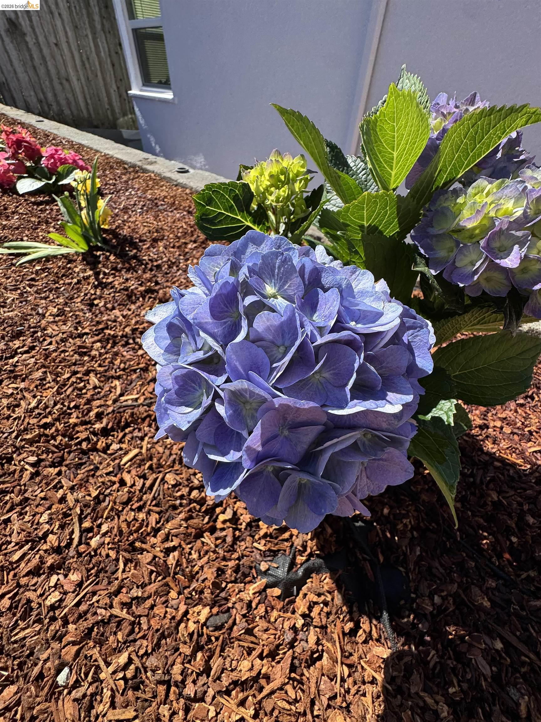 Detail Gallery Image 46 of 48 For 1909 Francisco Way, Richmond,  CA 94805 - 3 Beds | 2 Baths