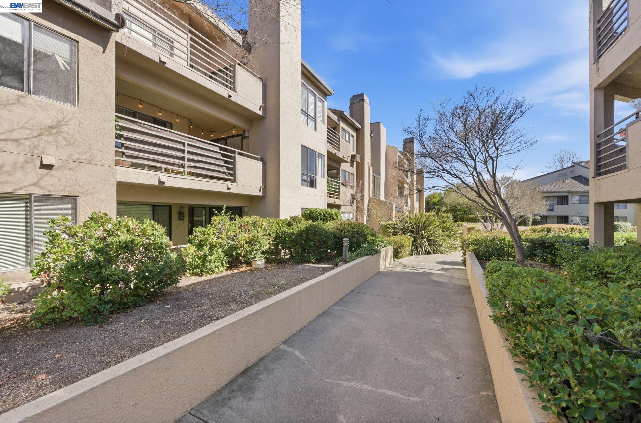 Photo #23: 41126014 Listing: Photo #23