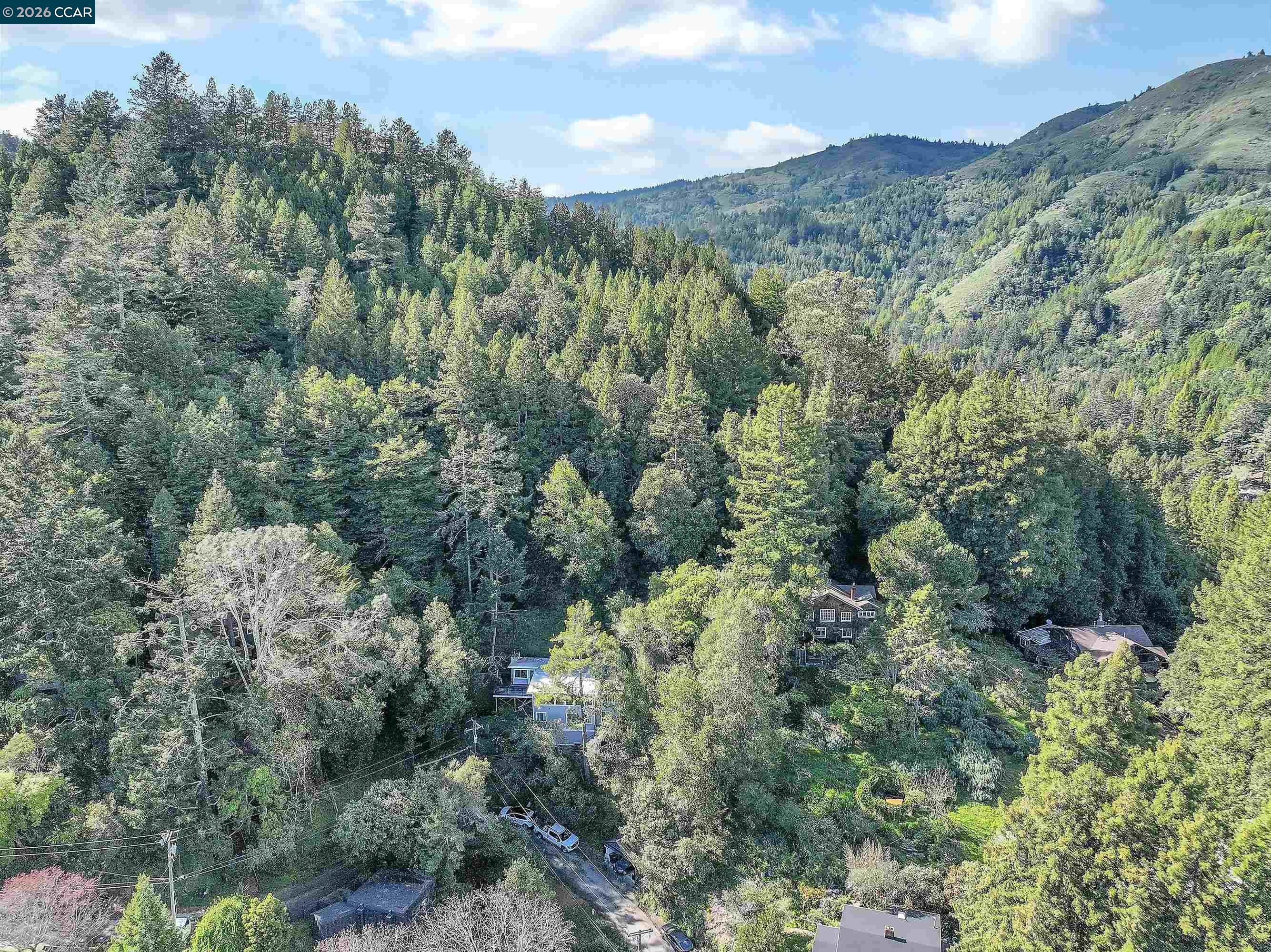 Detail Gallery Image 38 of 40 For 421 Rose Ave, Mill Valley,  CA 94941 - 3 Beds | 2 Baths