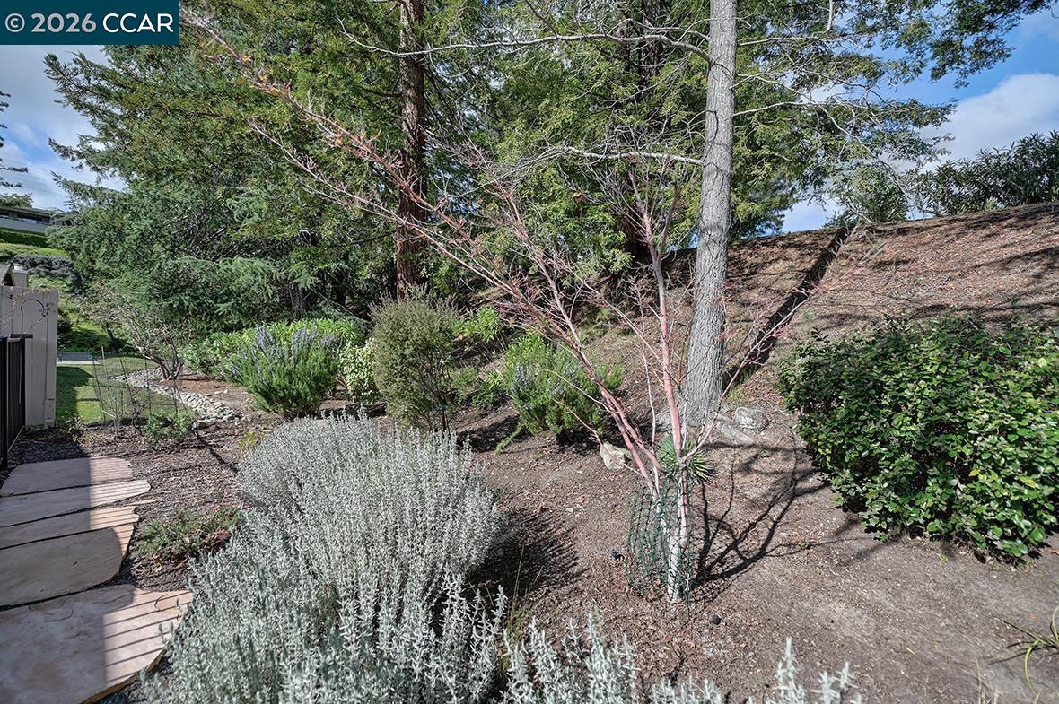 Photo #12: 41126022 Listing: Photo #12