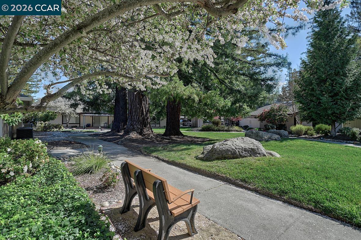 Photo #44: 41126022 Listing: Photo #44