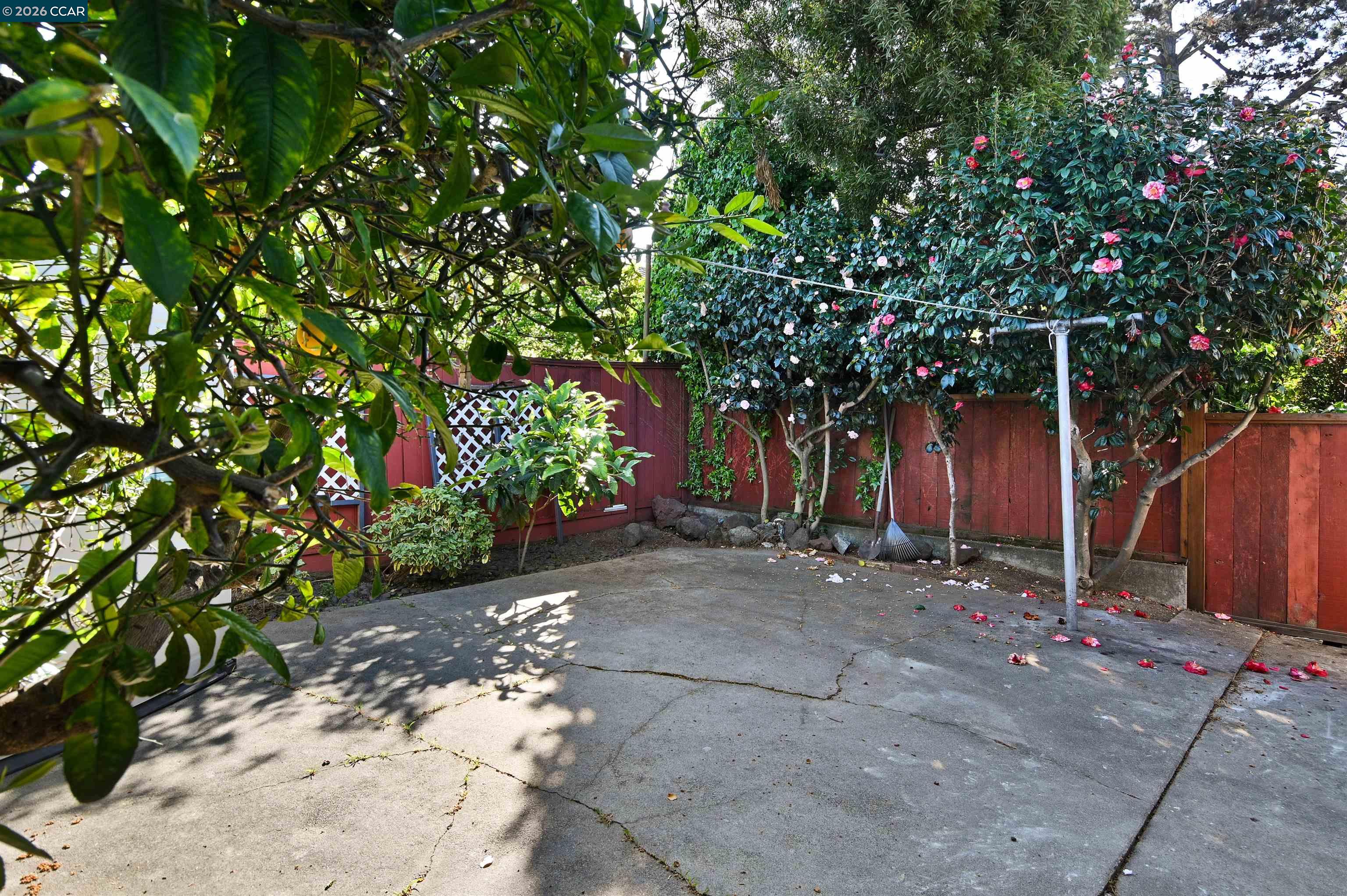 Detail Gallery Image 18 of 18 For 933 Cerrito St, Albany,  CA 94706 - 2 Beds | 1 Baths