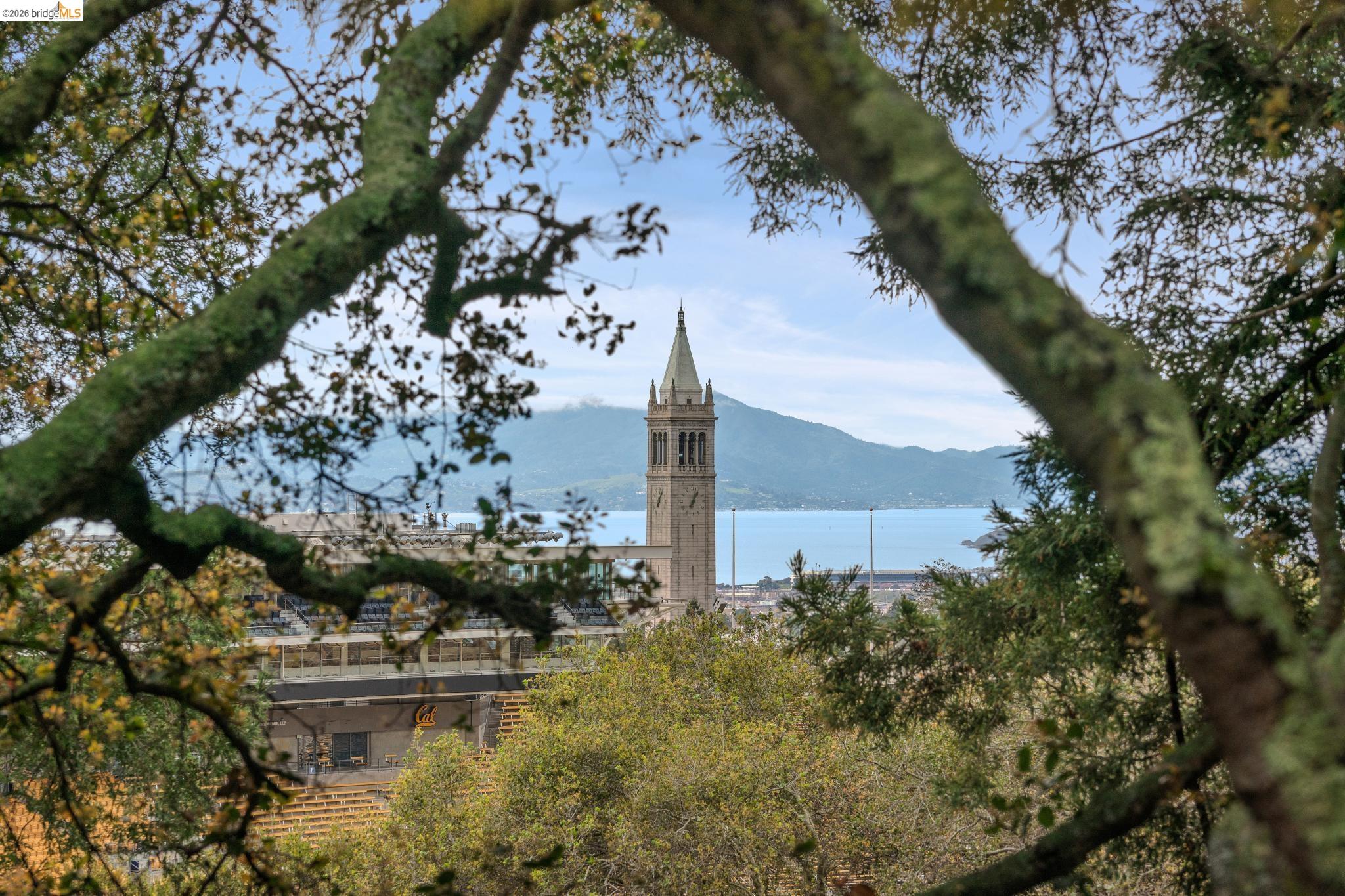 Detail Gallery Image 16 of 60 For 39 Canyon Rd, Berkeley,  CA 94704 - 4 Beds | 3/1 Baths