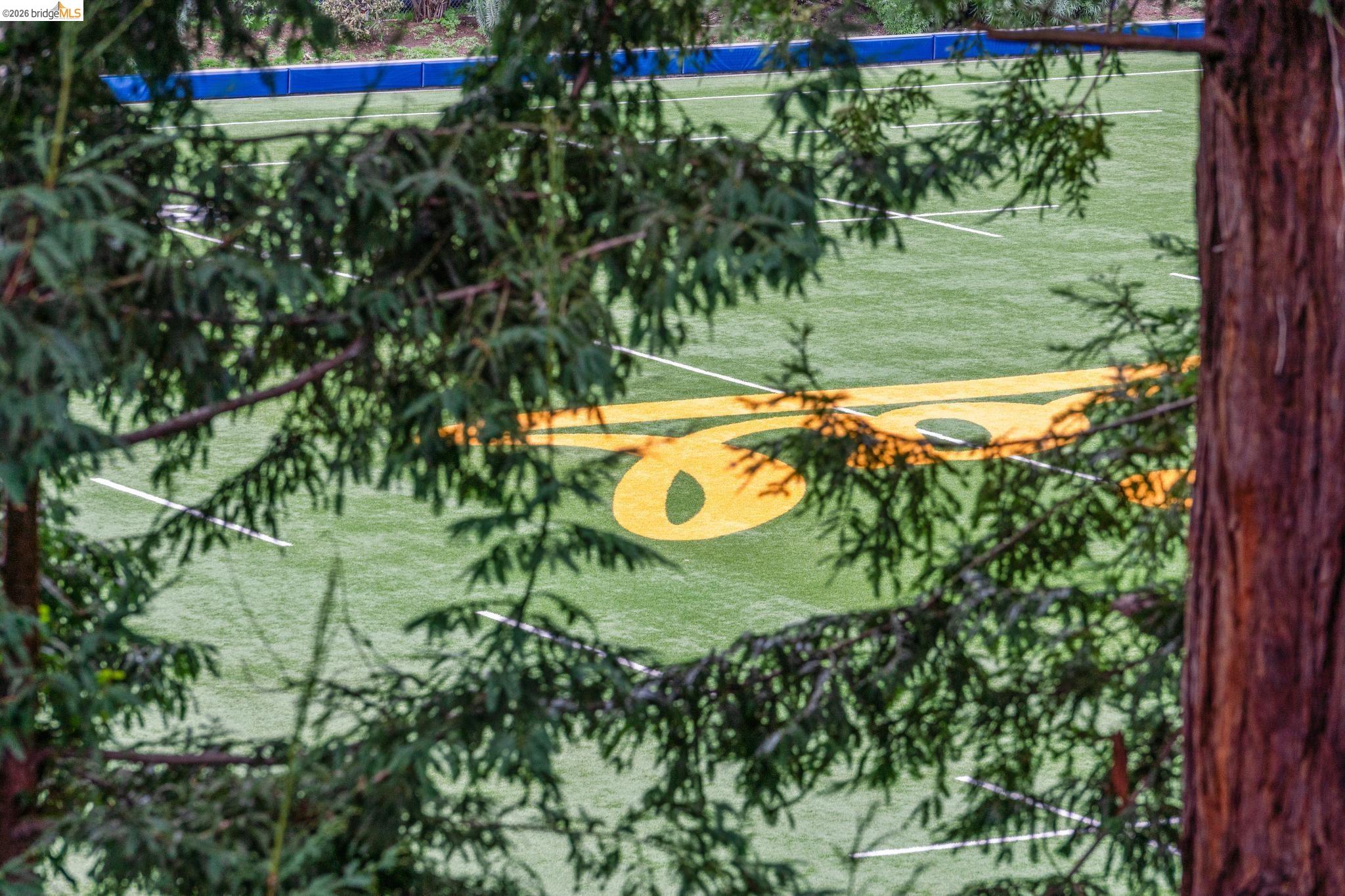 Detail Gallery Image 17 of 60 For 39 Canyon Rd, Berkeley,  CA 94704 - 4 Beds | 3/1 Baths