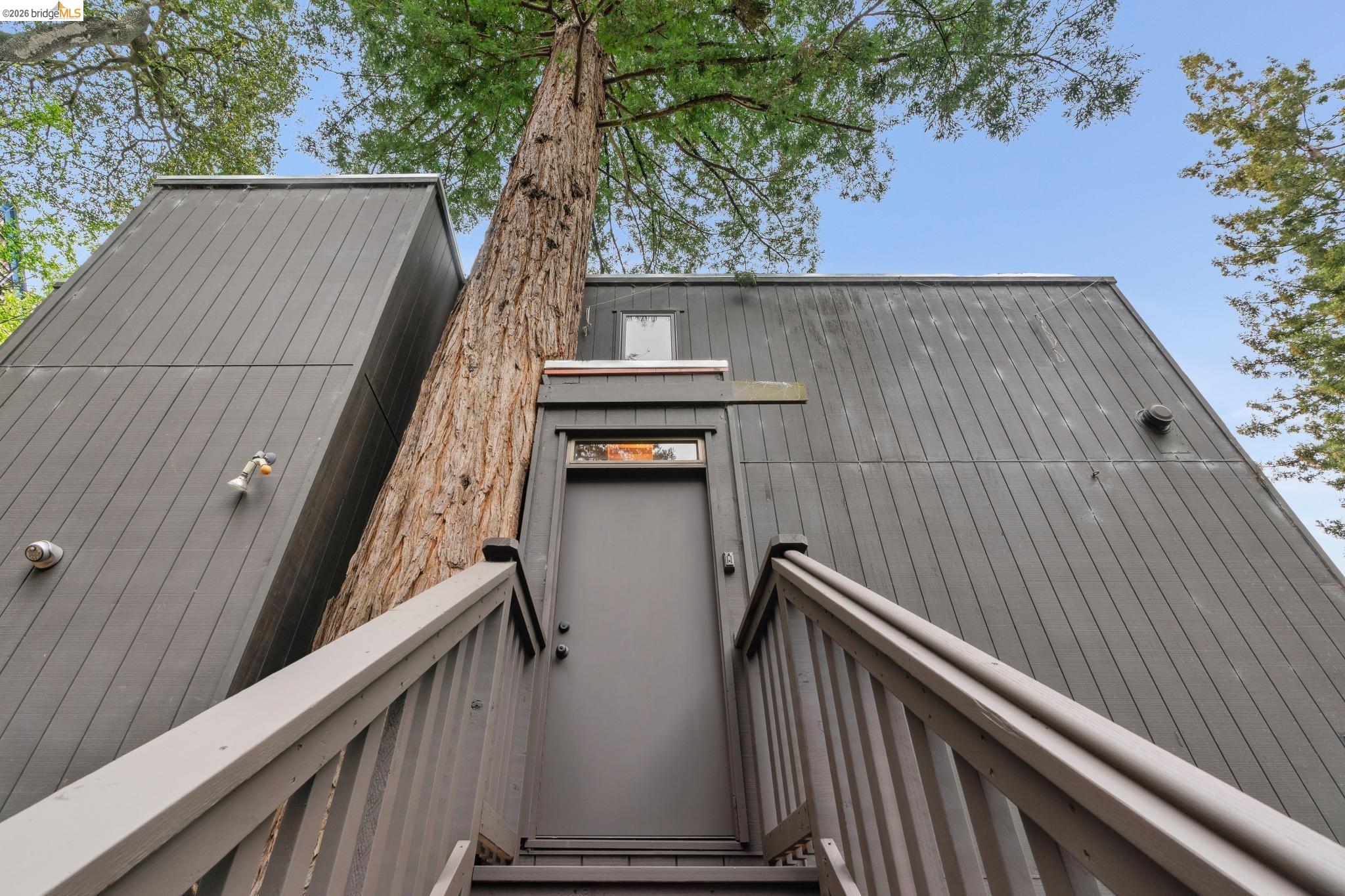 Detail Gallery Image 6 of 60 For 39 Canyon Rd, Berkeley,  CA 94704 - 4 Beds | 3/1 Baths