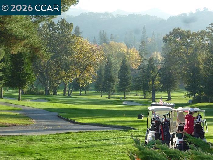 Photo #37: 41126067 Listing: Photo #37