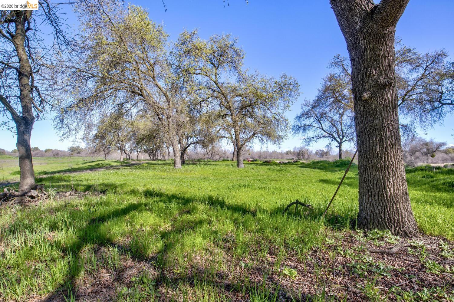Detail Gallery Image 25 of 55 For 16642 Hickory Ave, Patterson,  CA 95363 - – Beds | – Baths