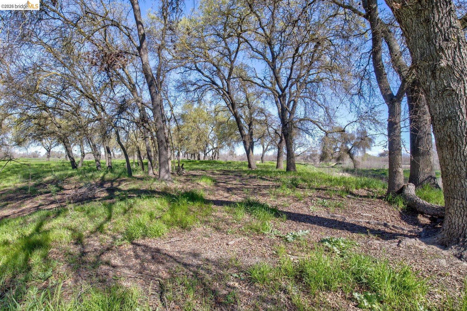 16642 Hickory Ave, Patterson, CA, 95363