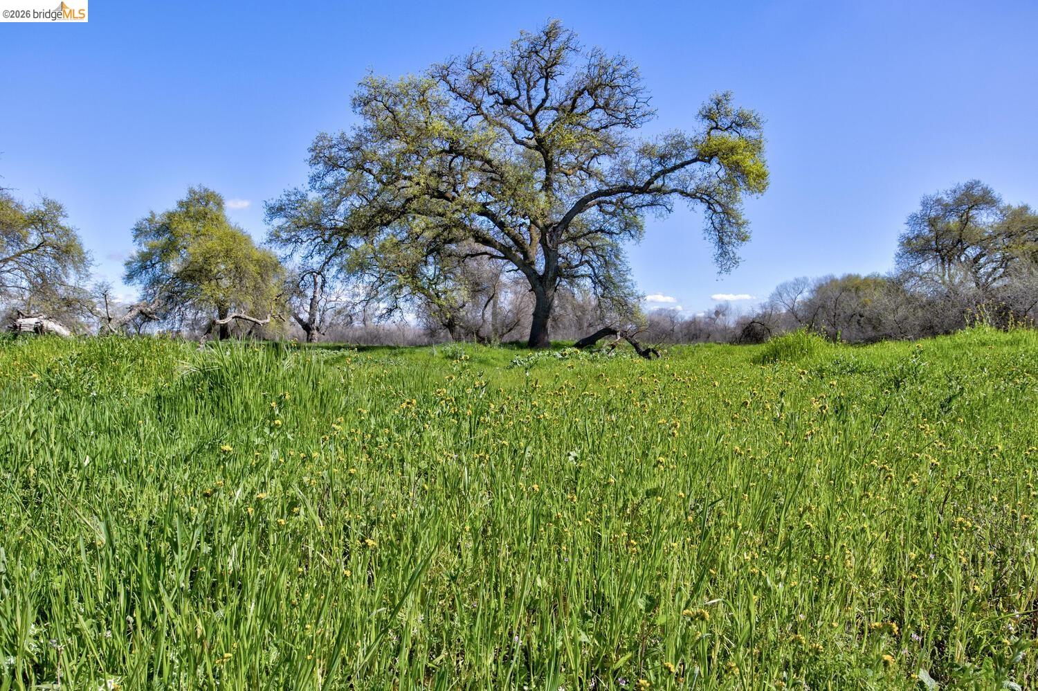 16642 Hickory Ave, Patterson, CA, 95363