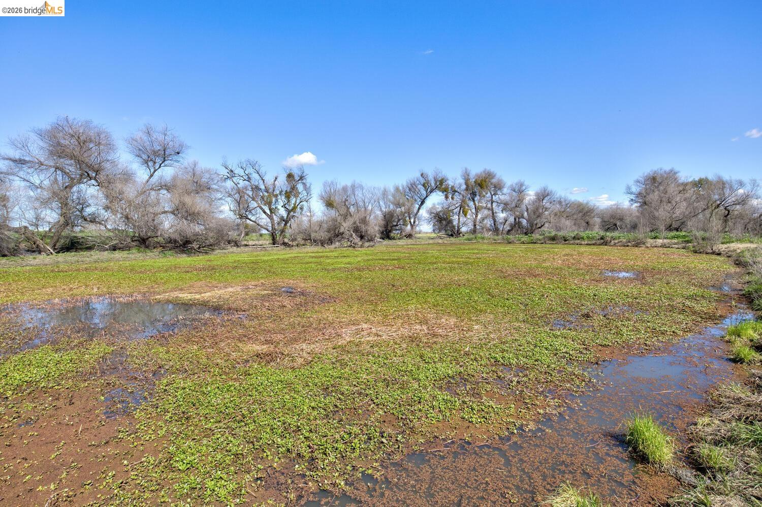 16642 Hickory Ave, Patterson, CA, 95363