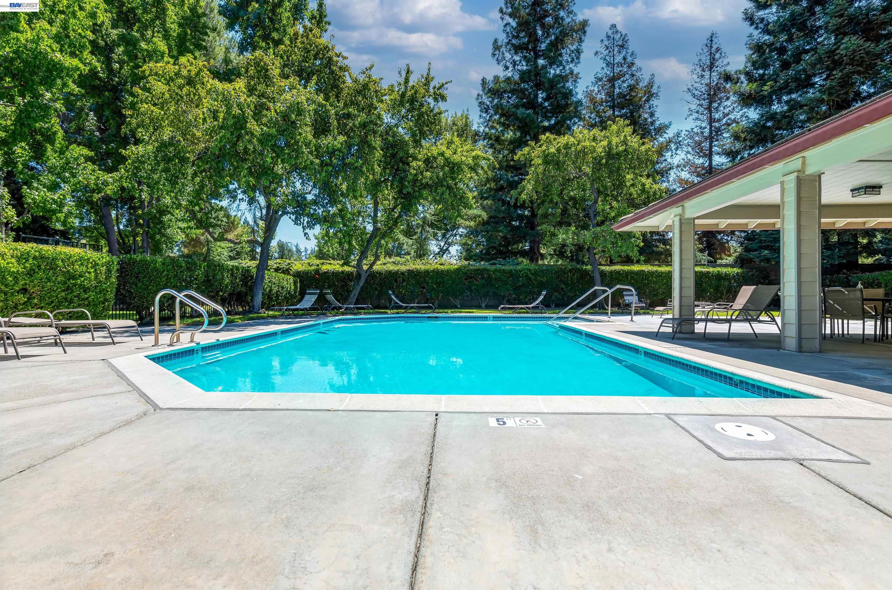 Photo #23: 41126081 Listing: Photo #23