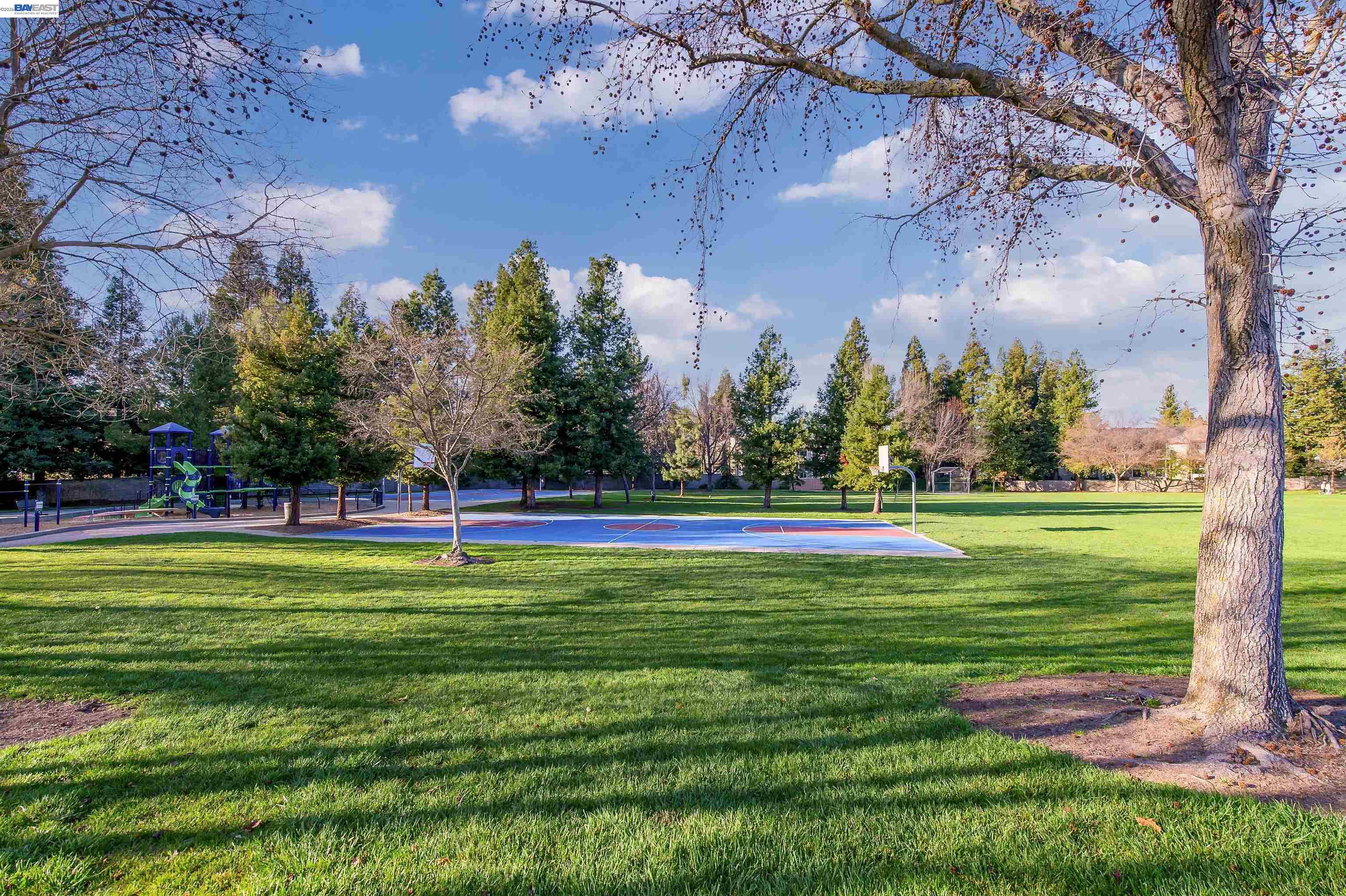 Photo #24: 41126081 Listing: Photo #24