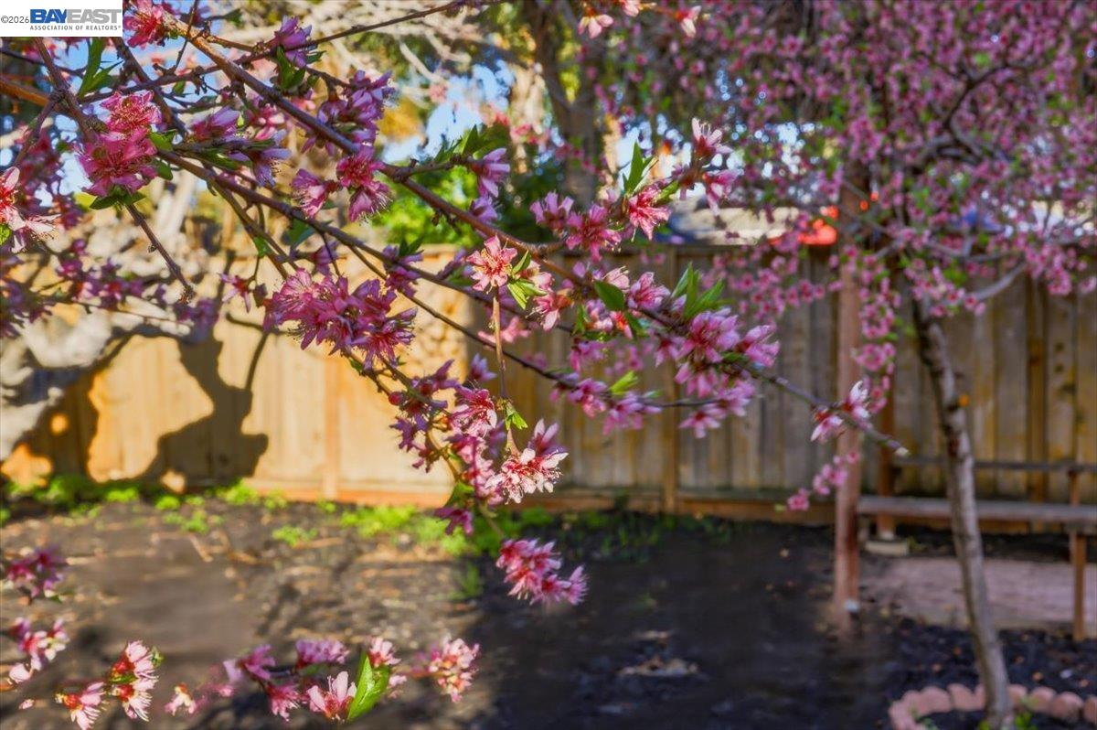 Detail Gallery Image 34 of 37 For 1565 Mendoza Ct, Pleasanton,  CA 94566 - 4 Beds | 3 Baths