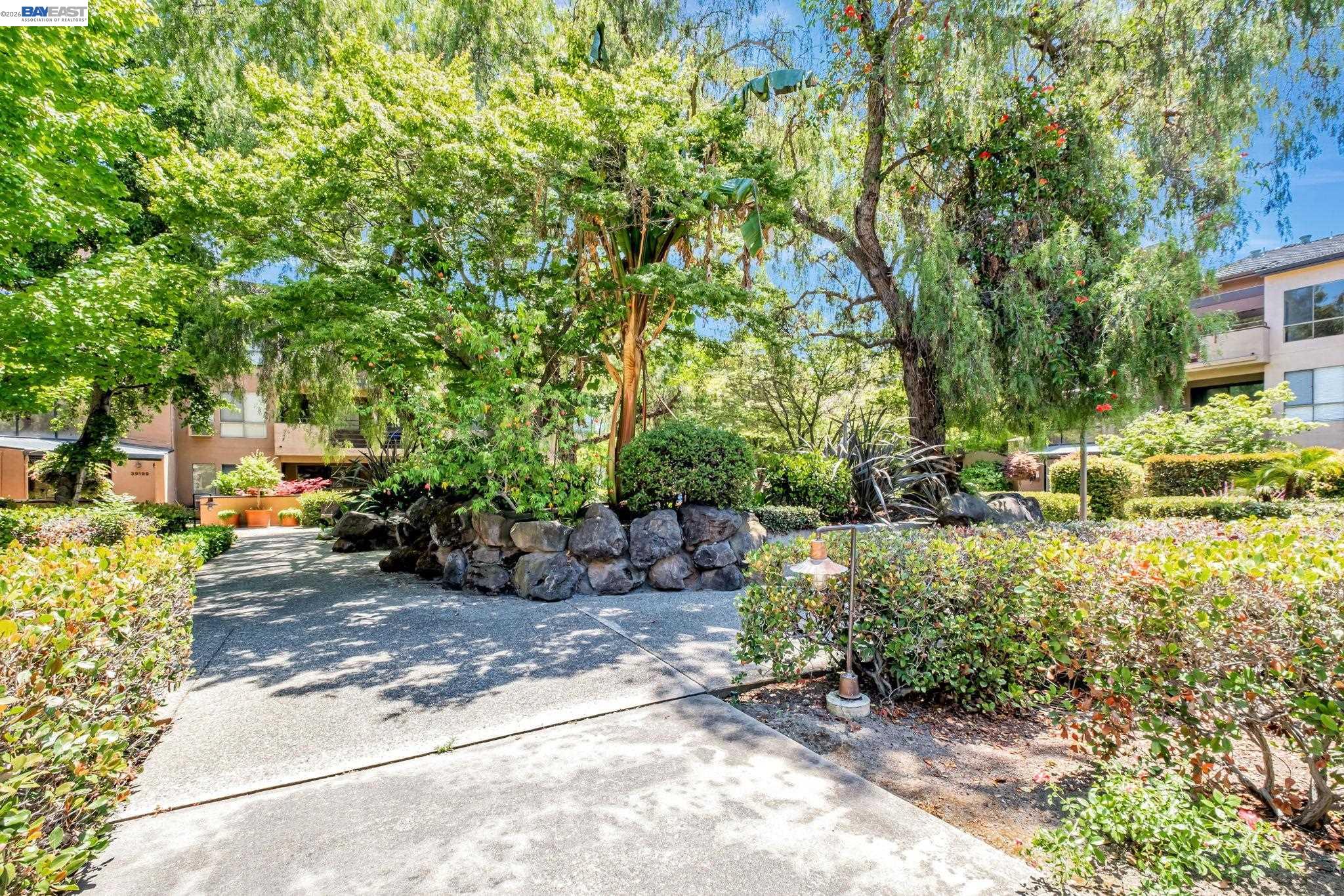 Photo #37: 41126093 Listing: Photo #37