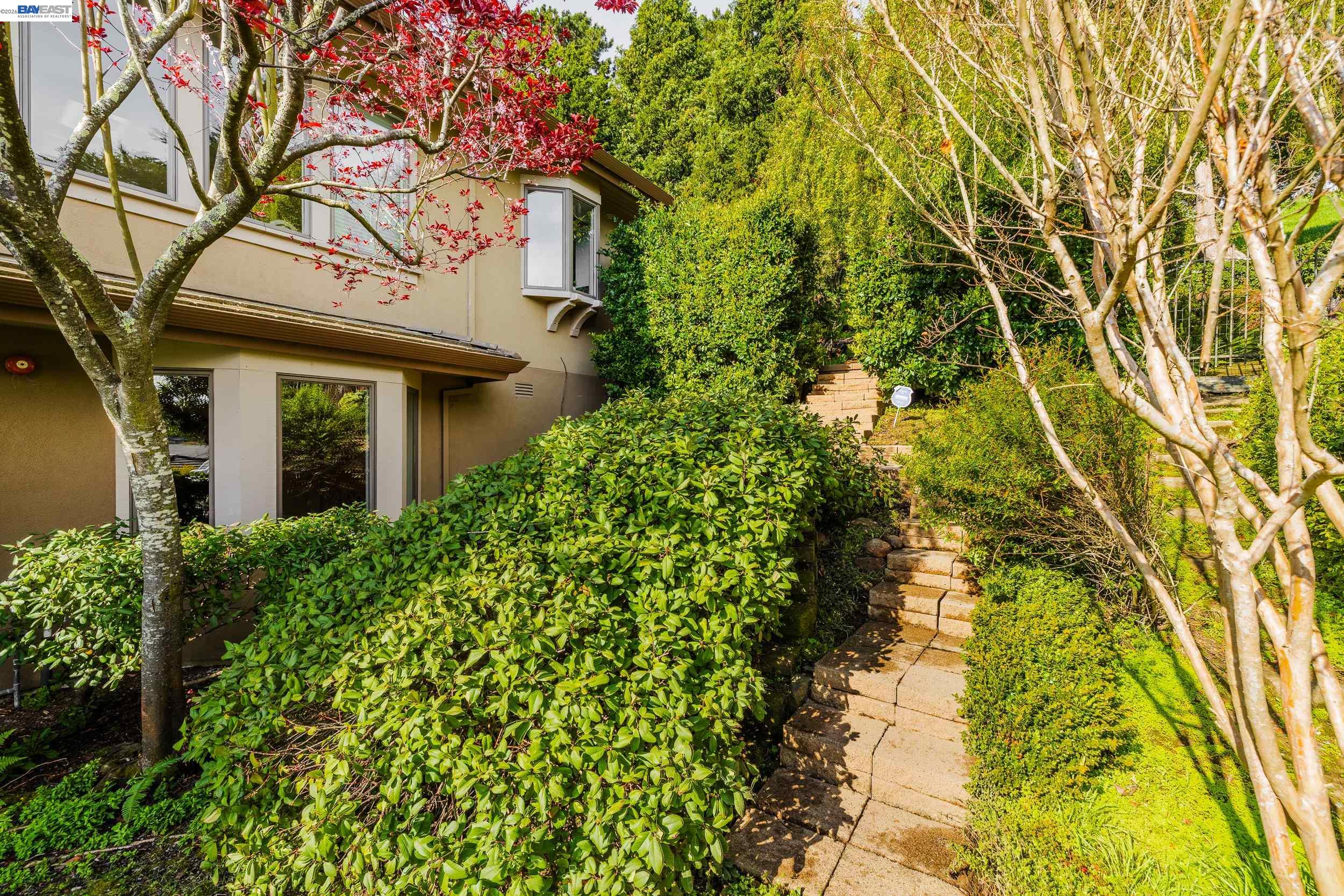 Detail Gallery Image 41 of 51 For 51 Seminary Cove Dr, Mill Valley,  CA 94941 - 3 Beds | 3/1 Baths