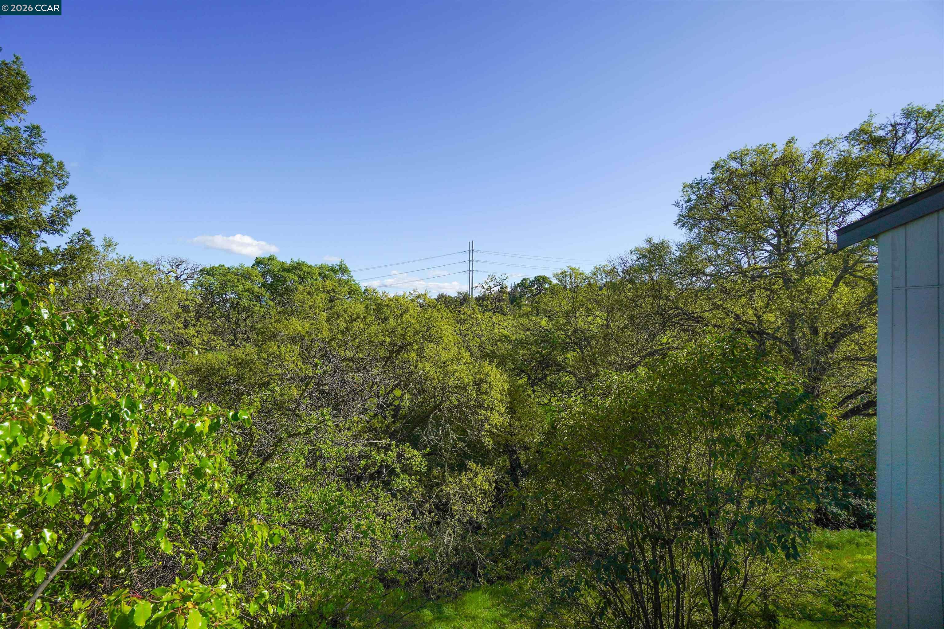 Photo #32: 41126134 Listing: Photo #32