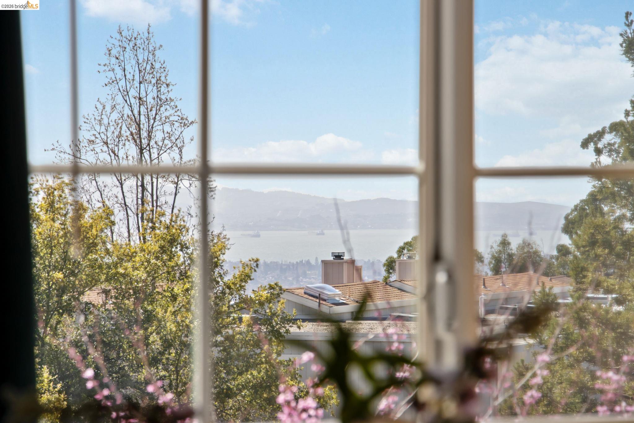 Photo #8: 41126151 Listing: Photo #8