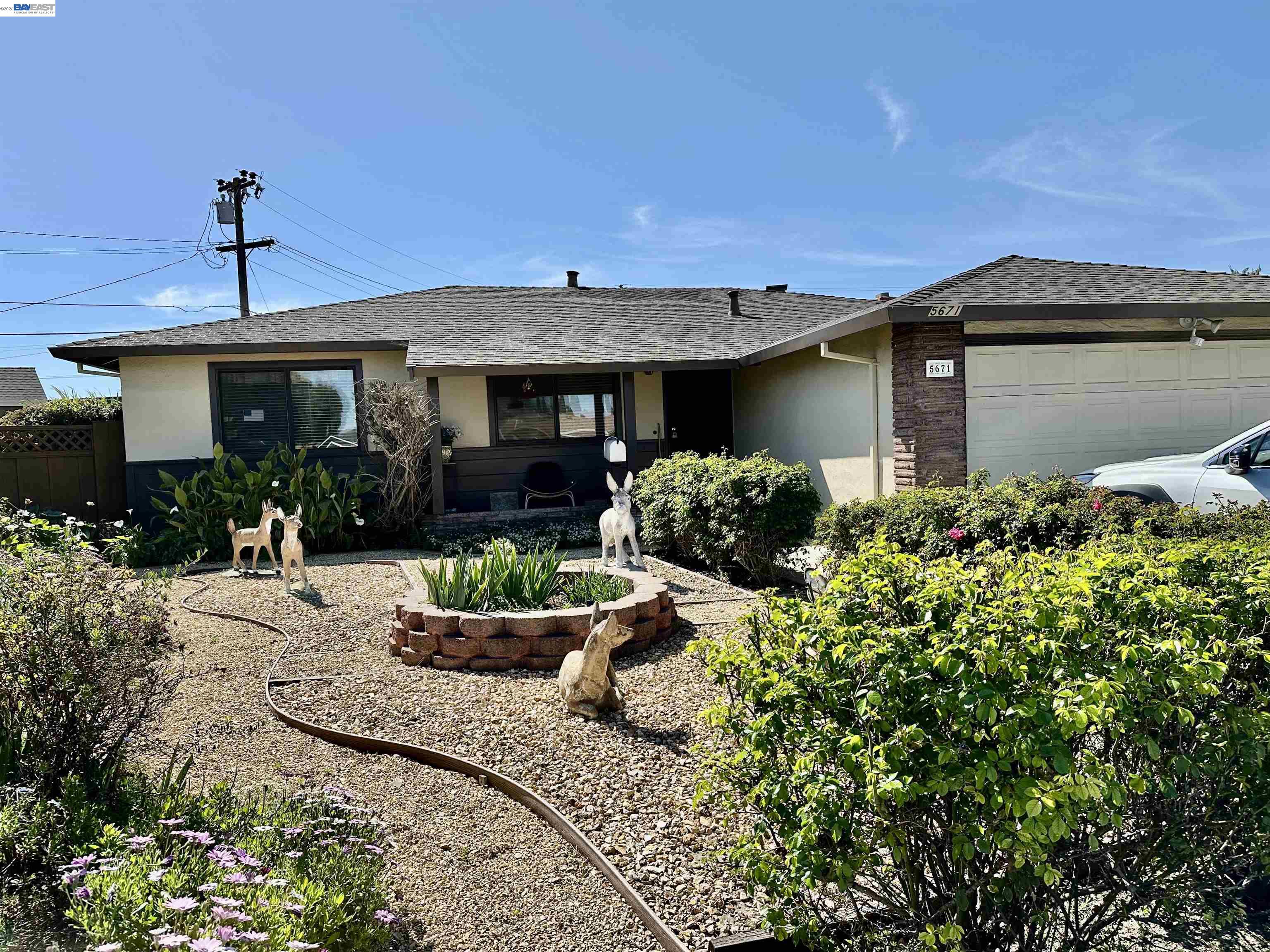 Front Image Thumbnail for BE41126154