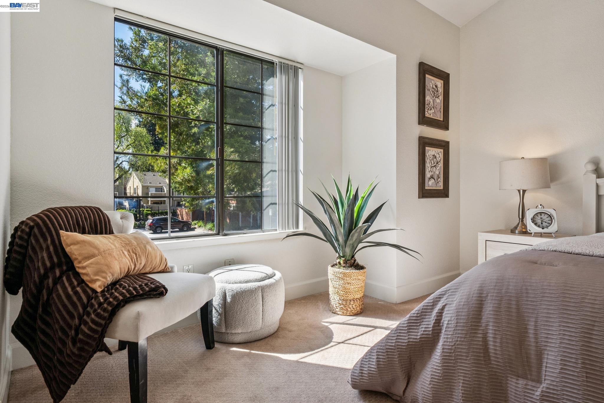 Photo #21: 41126158 Listing: Photo #21