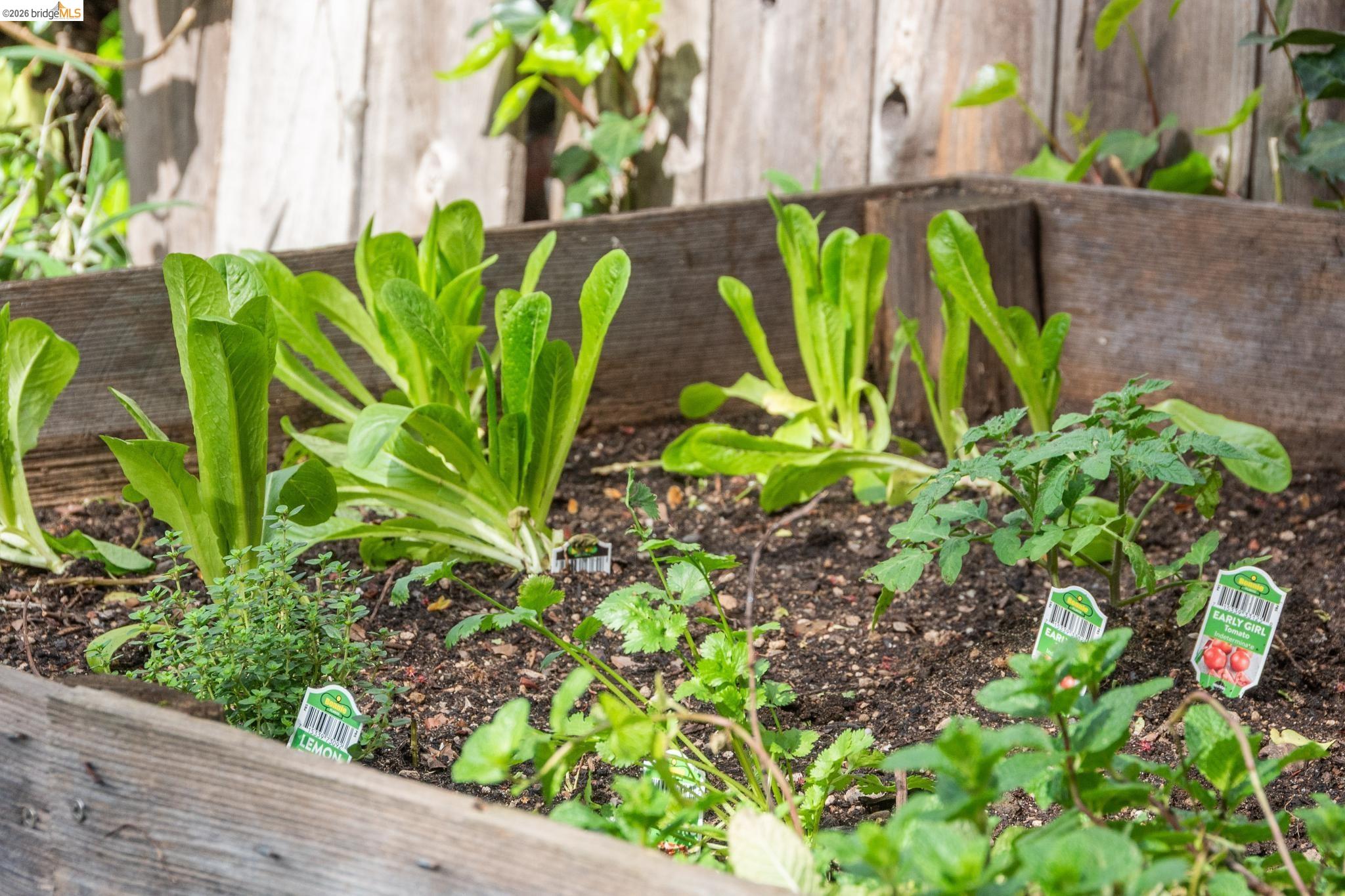 Detail Gallery Image 3 of 42 For 3316 Harrison St, Oakland,  CA 94611 - 4 Beds | 2 Baths