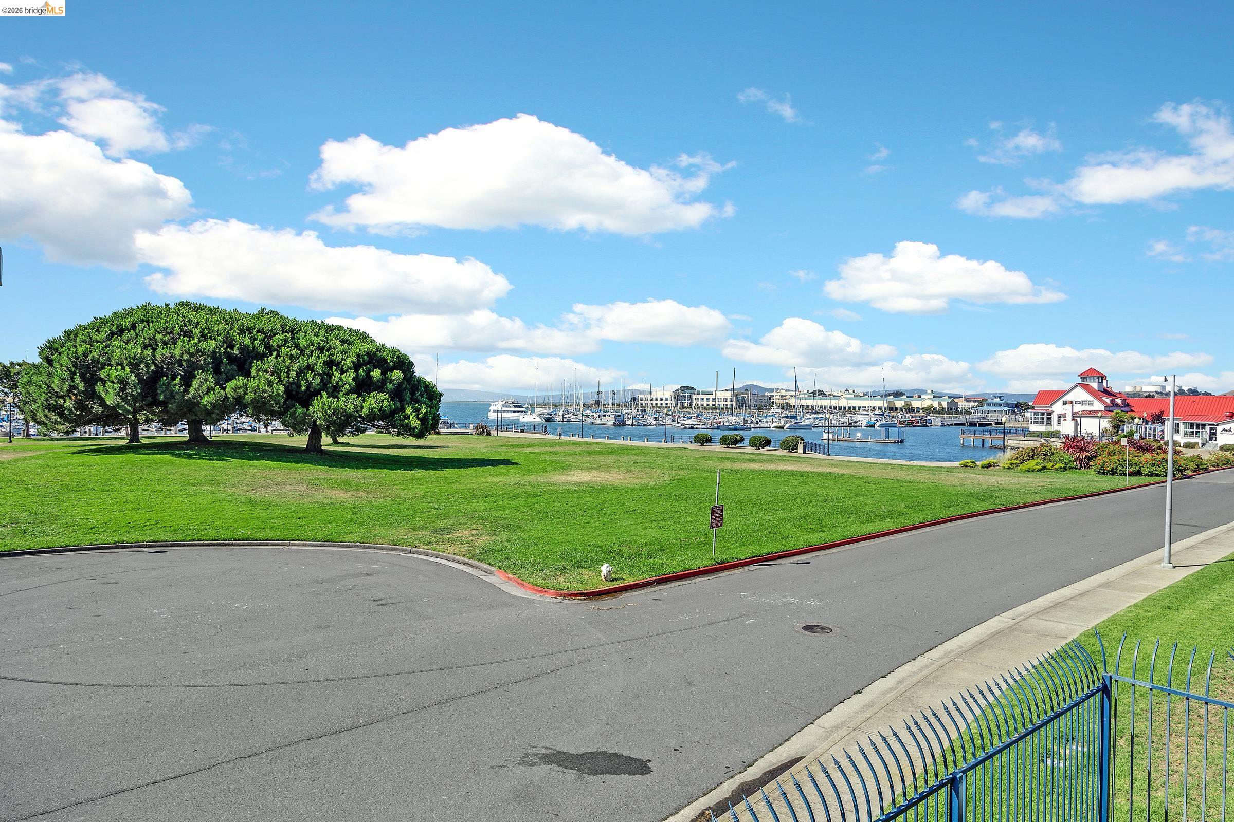 Photo #6: 41126199 Listing: Photo #6