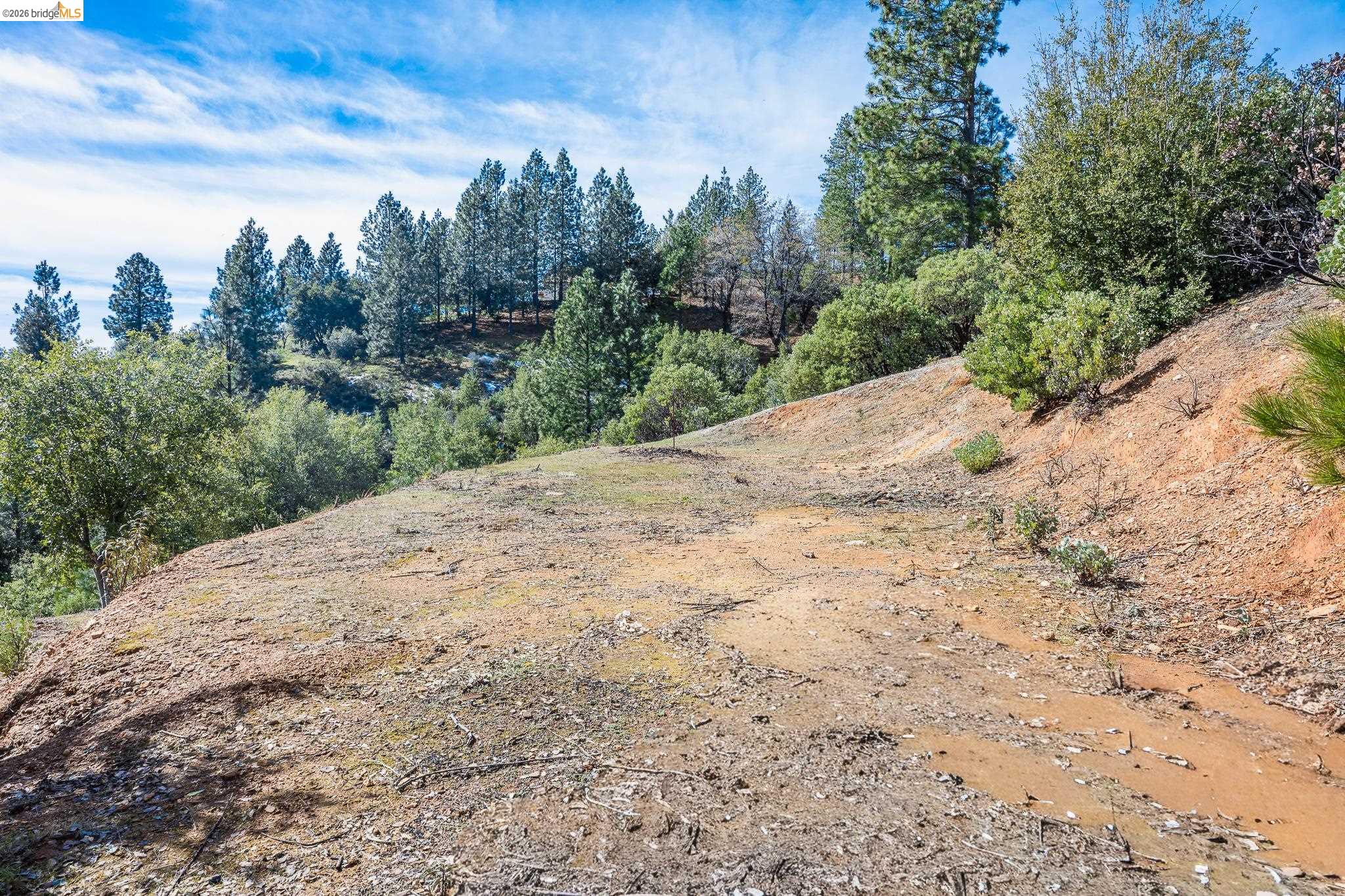 Detail Gallery Image 14 of 39 For 5776 Prospector Ln, Murphys,  CA 95247 - – Beds | – Baths