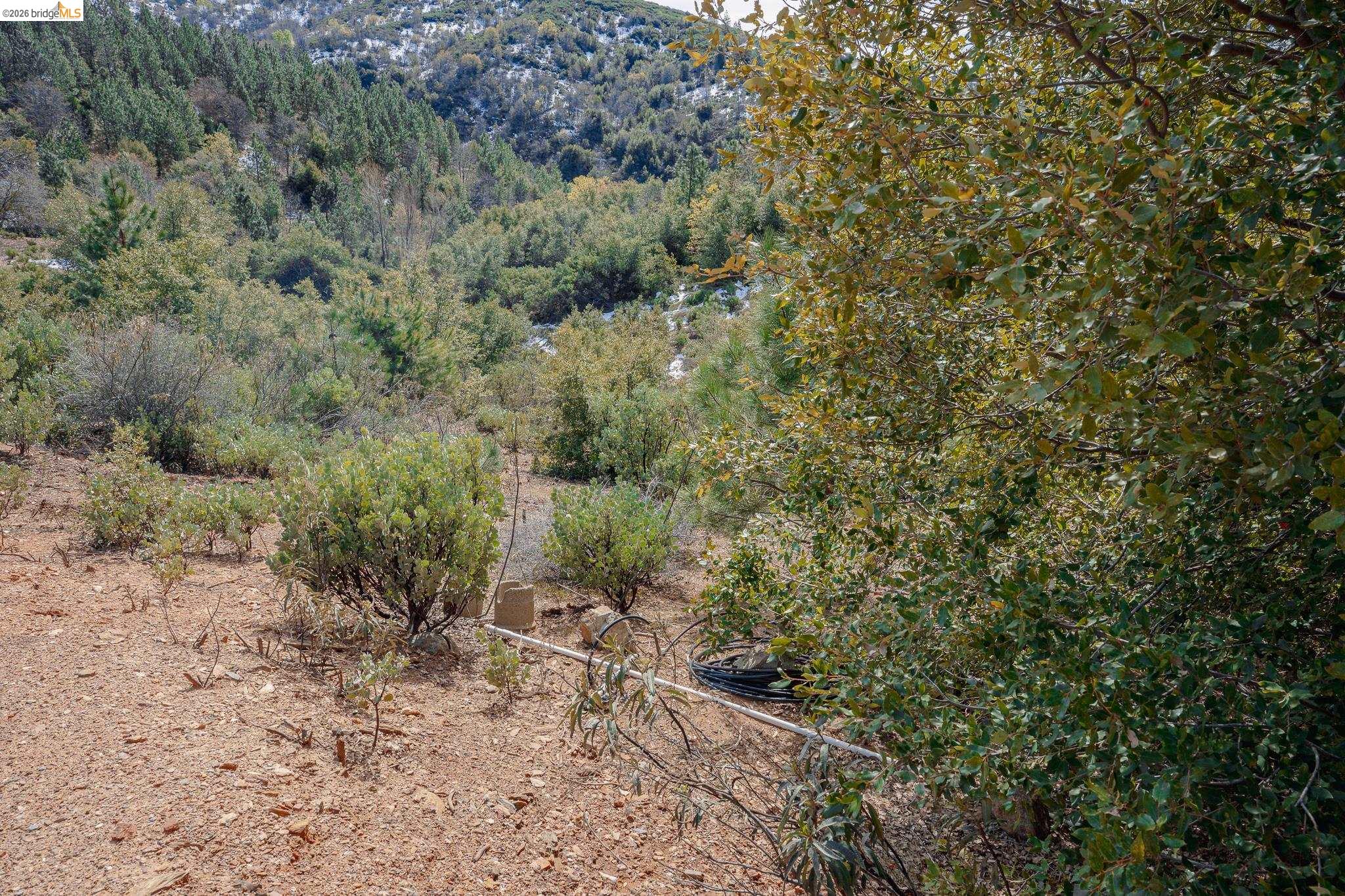 Detail Gallery Image 10 of 39 For 5776 Prospector Ln, Murphys,  CA 95247 - – Beds | – Baths