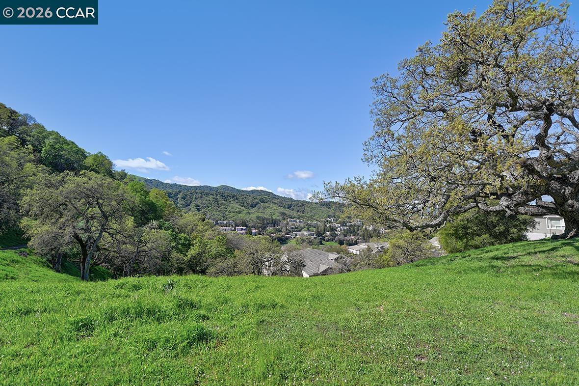 Photo #45: 41126224 Listing: Photo #45