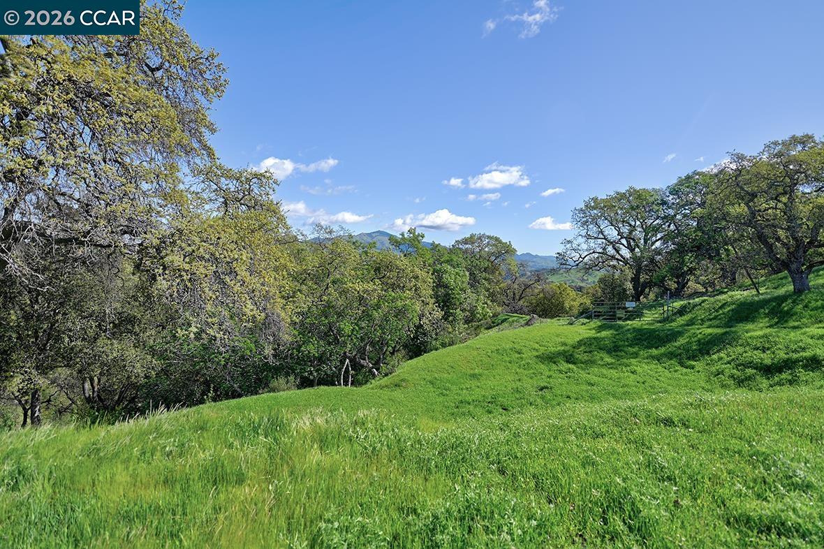 Photo #46: 41126224 Listing: Photo #46