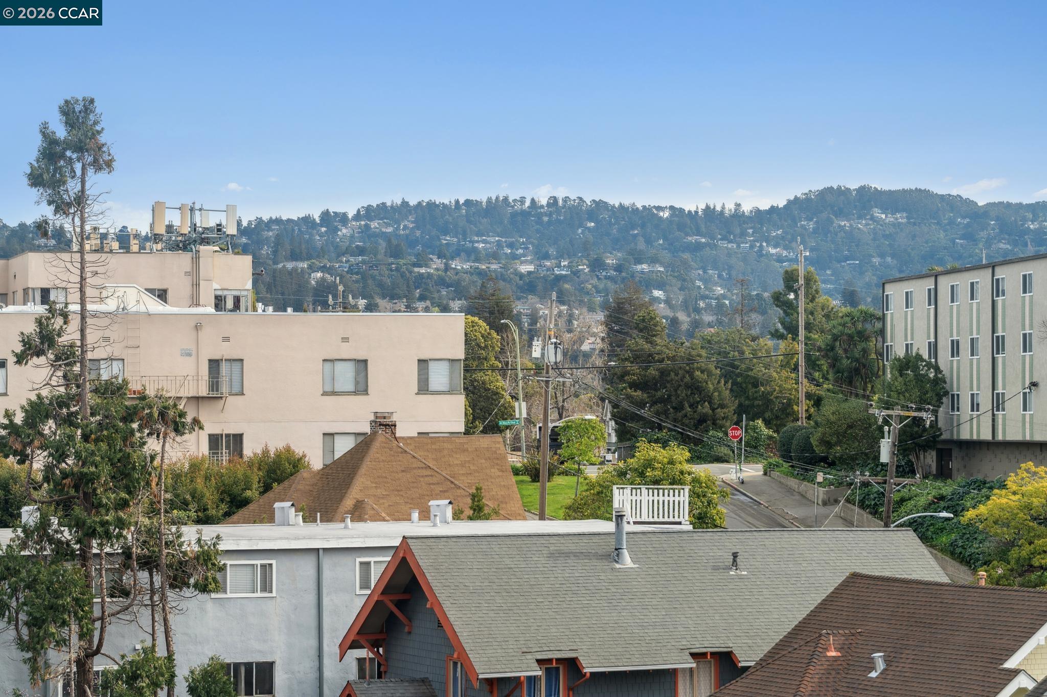 Photo #4: 41126230 Listing: Photo #4