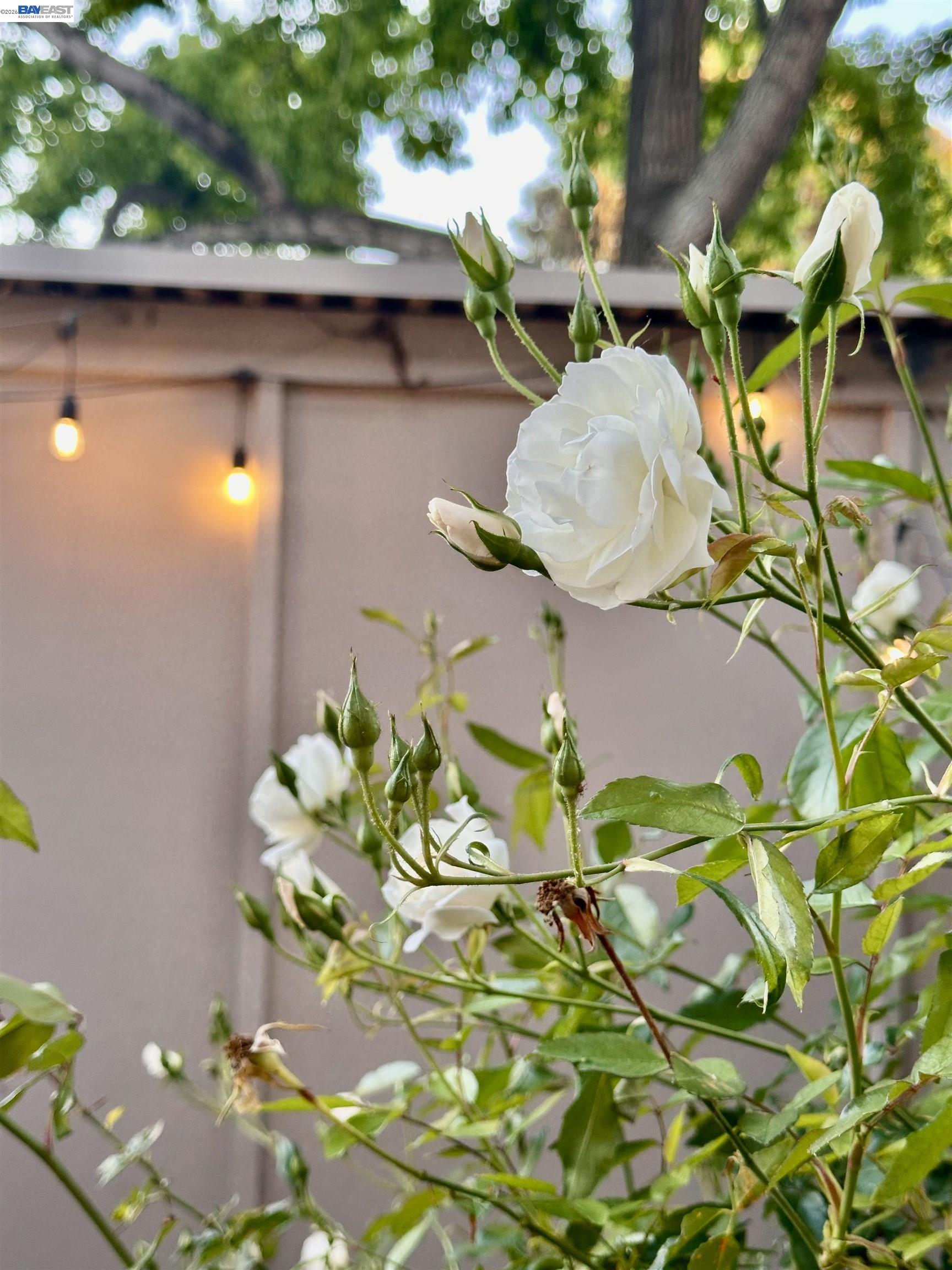 Photo #30: 41126233 Listing: Photo #30