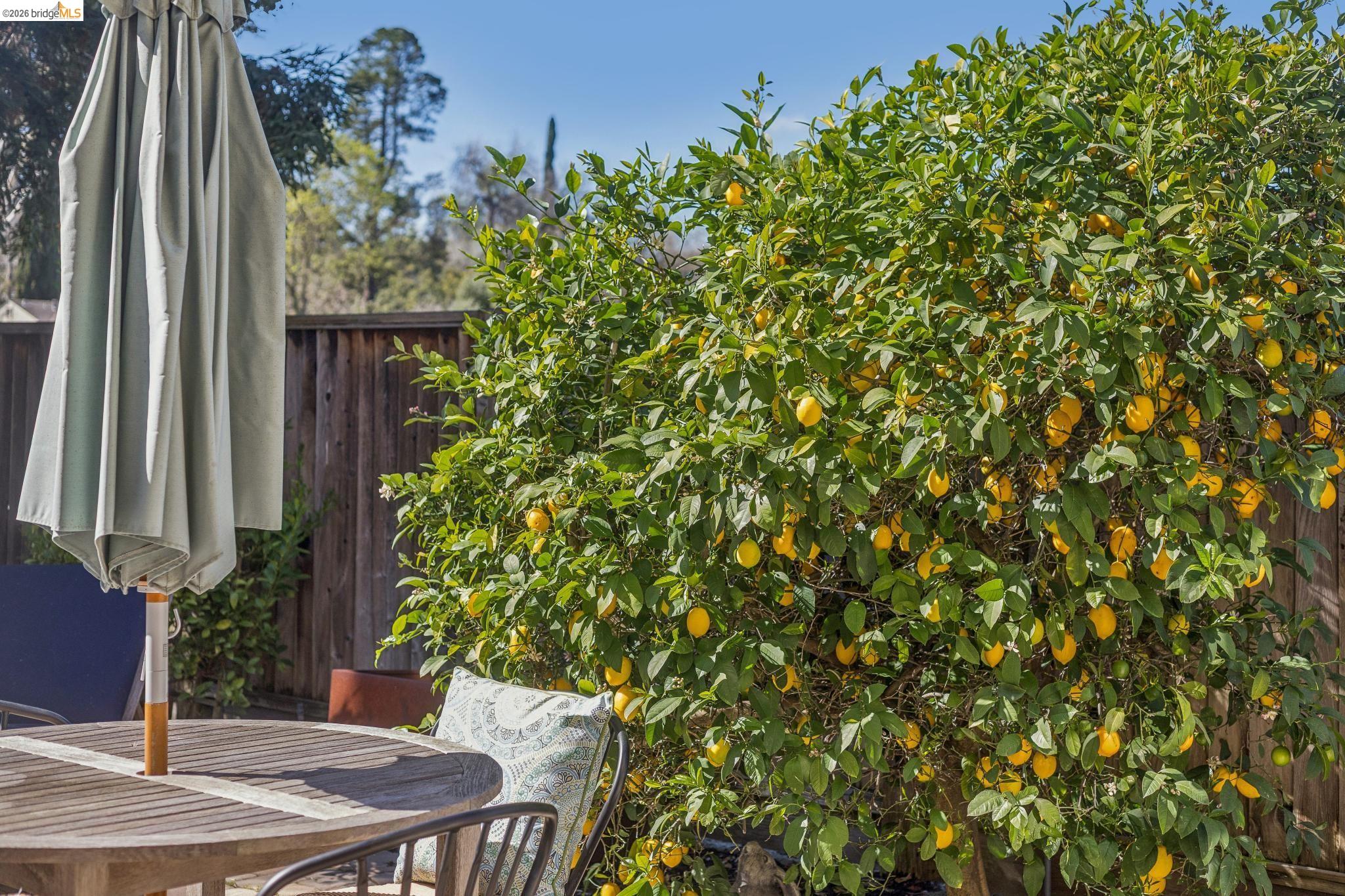 Detail Gallery Image 48 of 49 For 548 Gabriel Ct, Walnut Creek,  CA 94597 - 4 Beds | 2/1 Baths