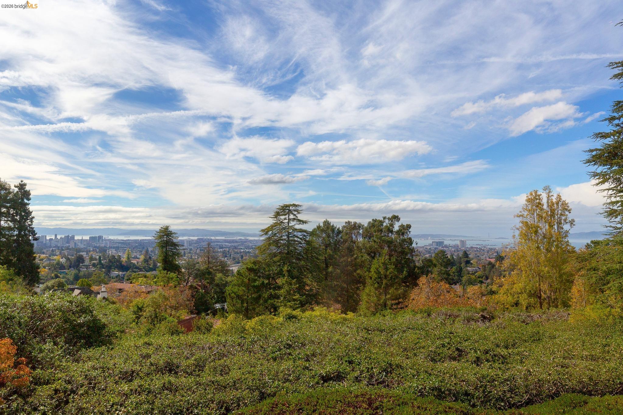 Detail Gallery Image 20 of 26 For 45 Vicente Rd, Berkeley,  CA 94705 - 4 Beds | 3/1 Baths