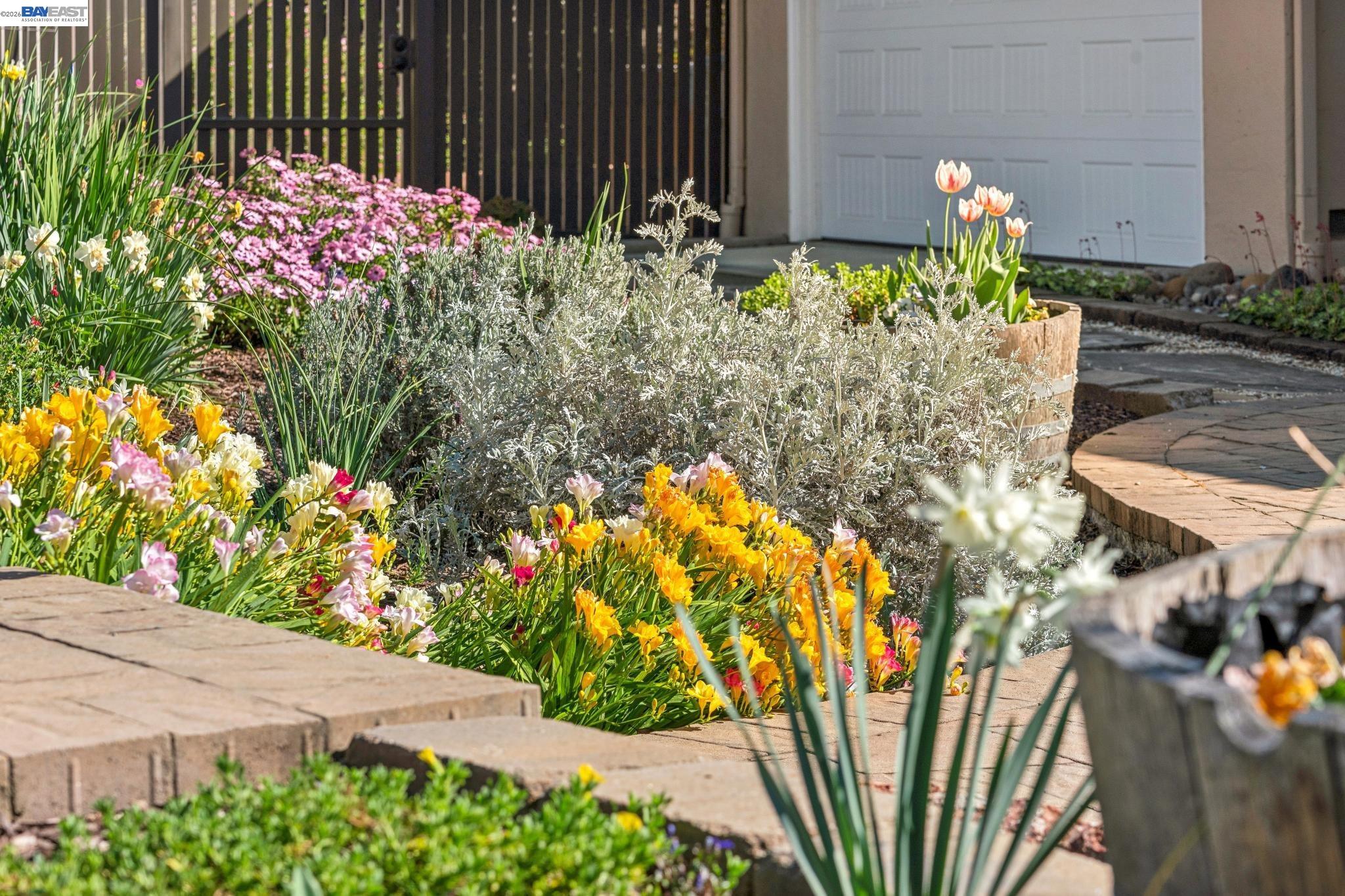 Detail Gallery Image 5 of 58 For 682 Jennie Ct, Lafayette,  CA 94549 - 5 Beds | 2/1 Baths