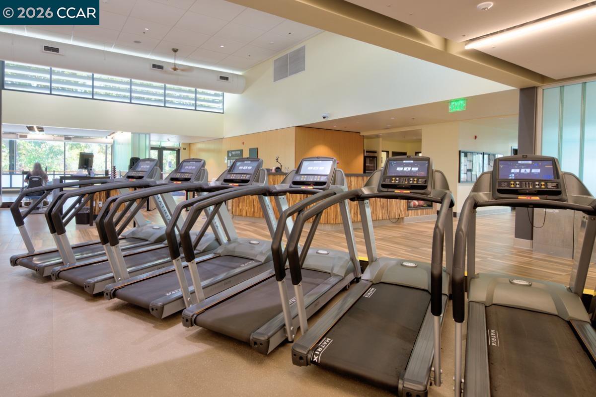 Photo #47: 41126323 Listing: Photo #47