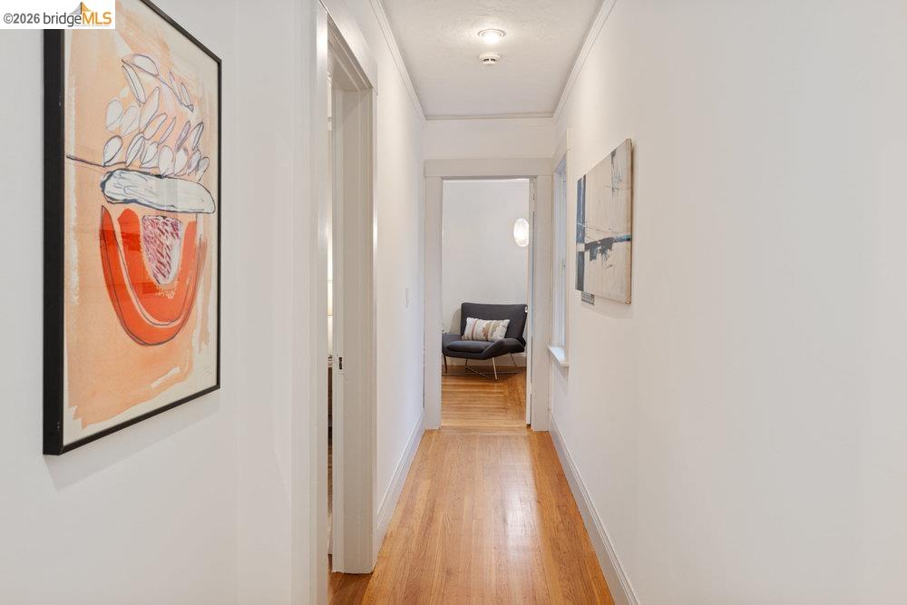 Detail Gallery Image 20 of 60 For 589 San Luis Rd., Berkeley,  CA 94707-1723 - 4 Beds | 2 Baths