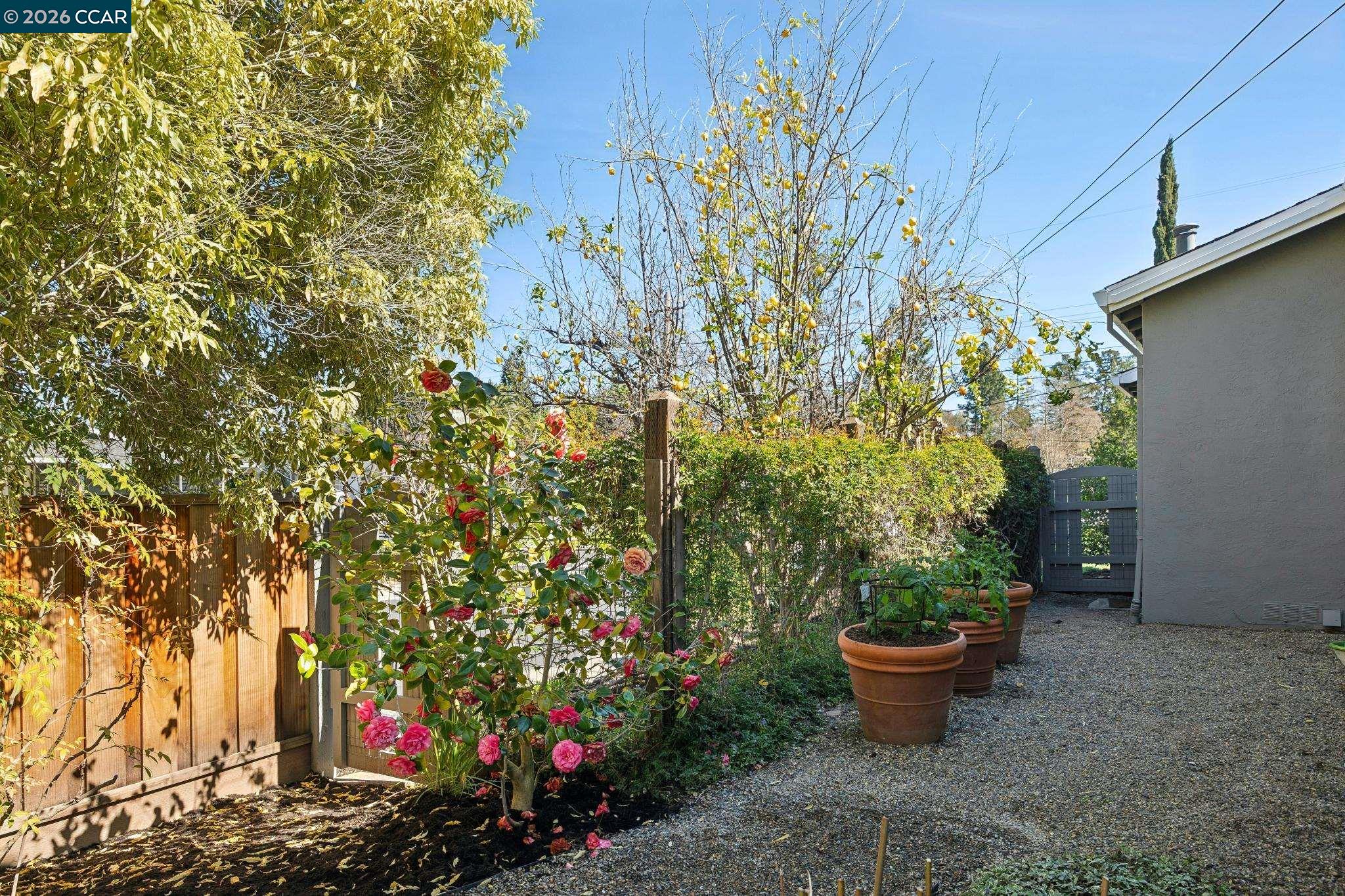 Detail Gallery Image 46 of 46 For 1651 Mendota Court, Walnut Creek,  CA 94597 - 3 Beds | 2 Baths