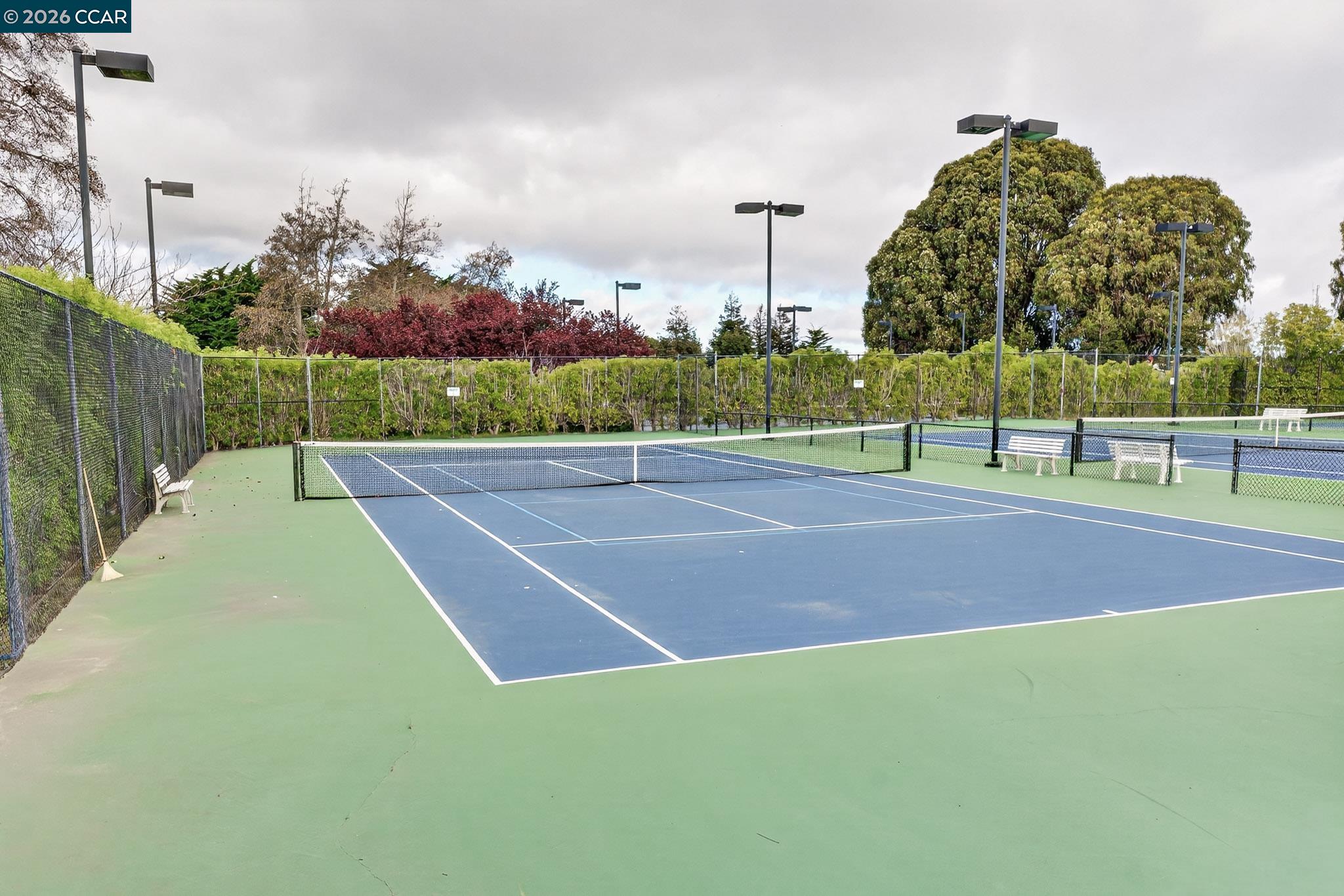 Photo #19: 41126331 Listing: Photo #19