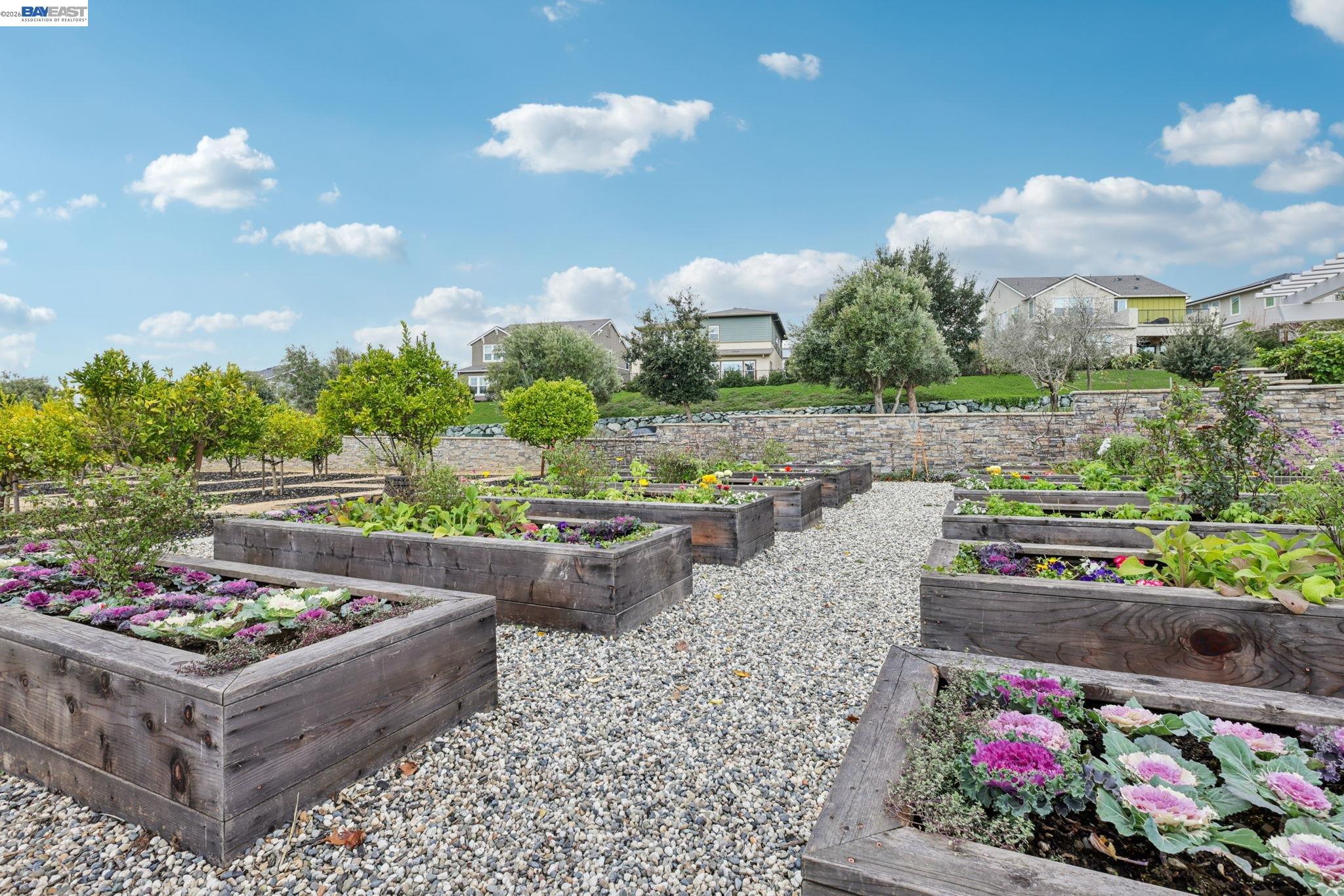 Photo #45: 41126335 Listing: Photo #45