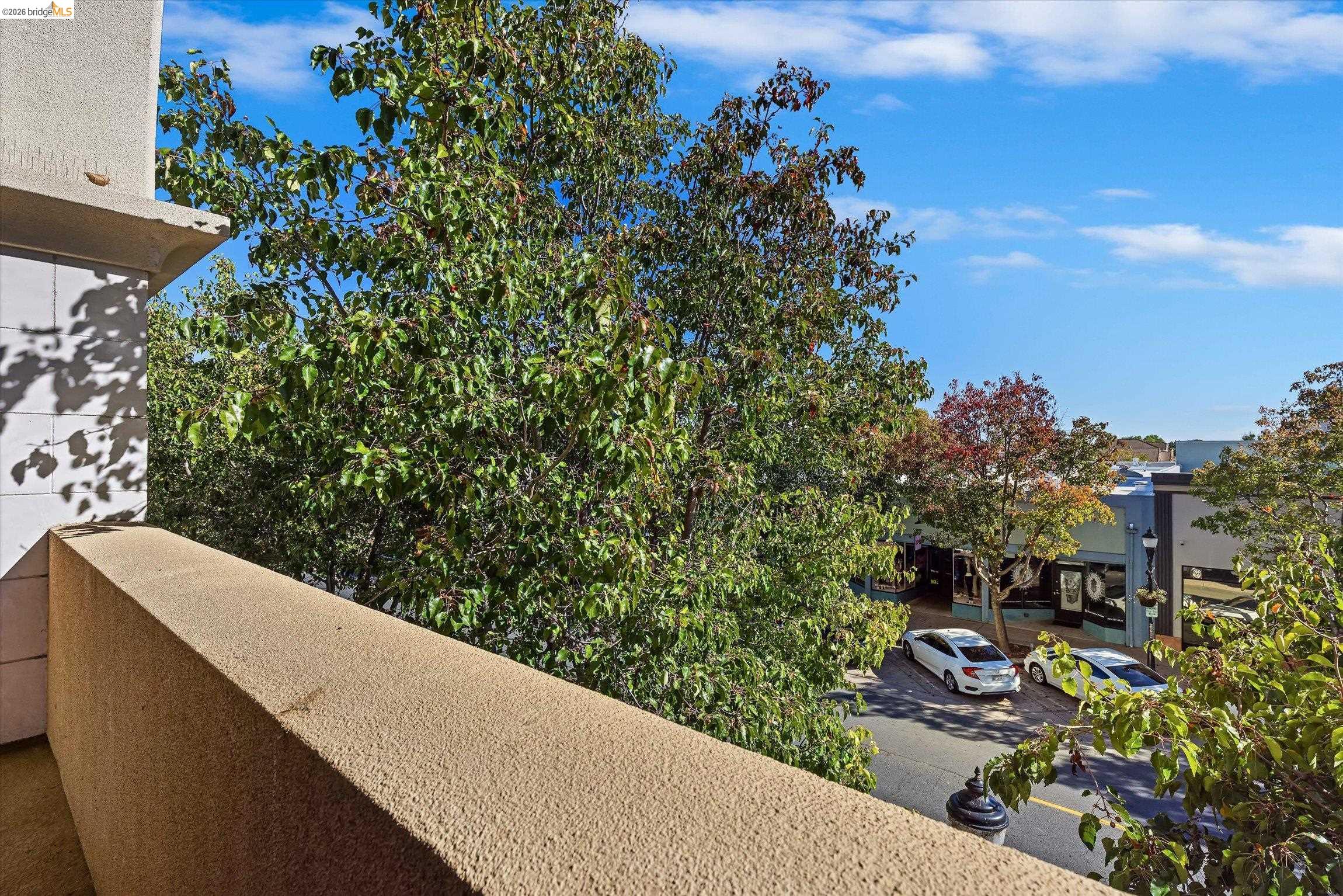 Photo #11: 41126354 Listing: Photo #11