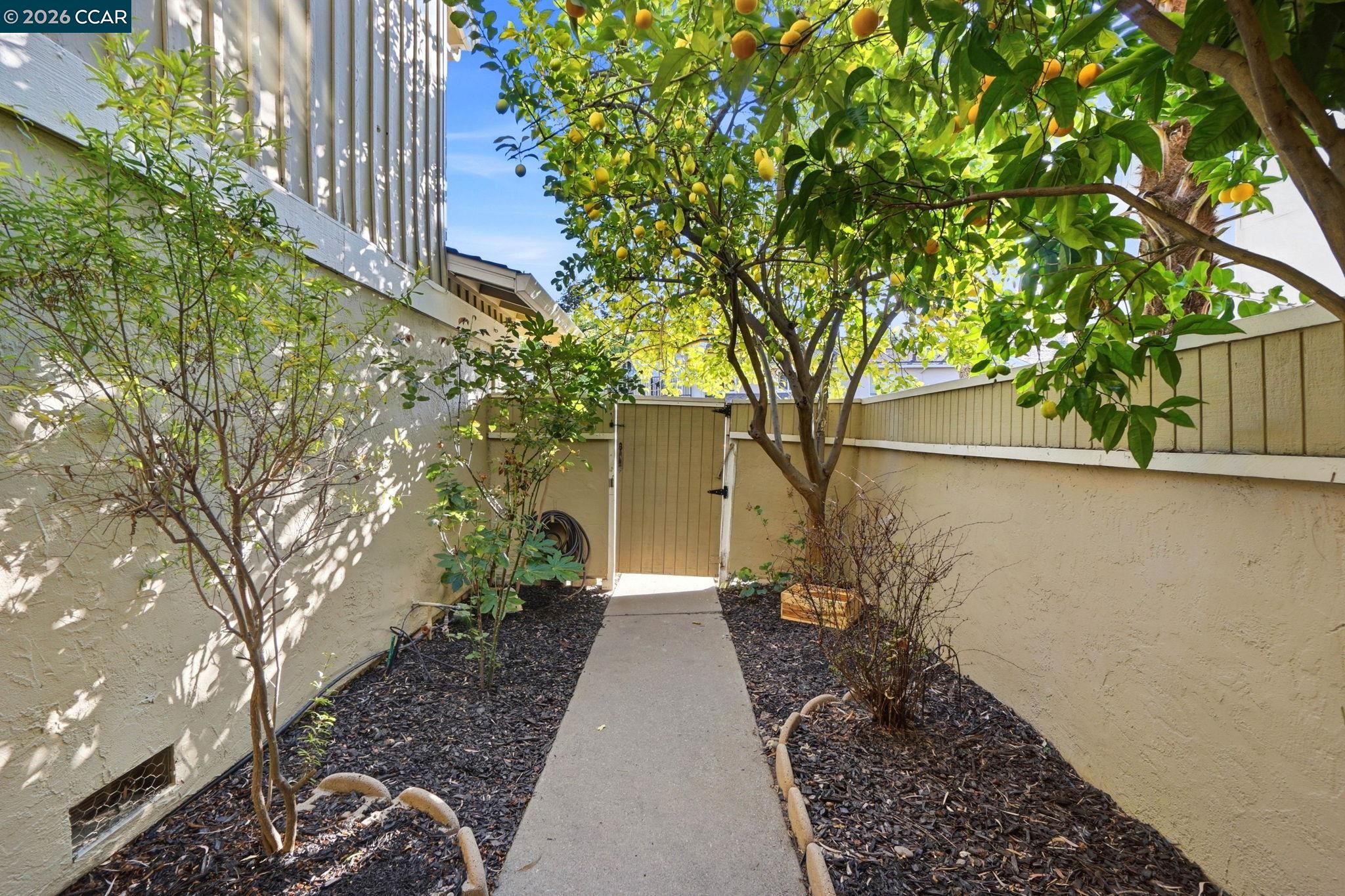 Photo #8: 41126384 Listing: Photo #8